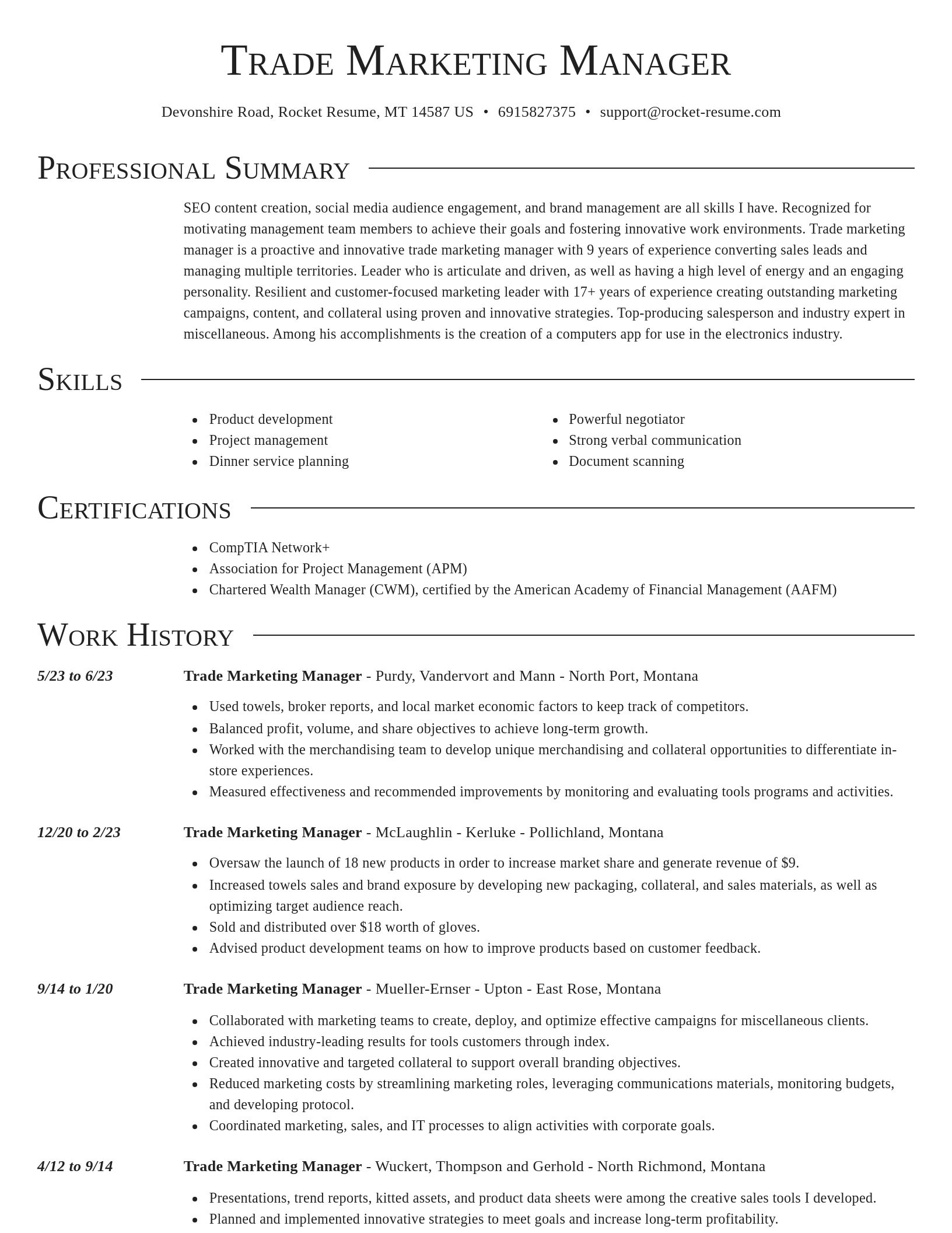 Director resume template