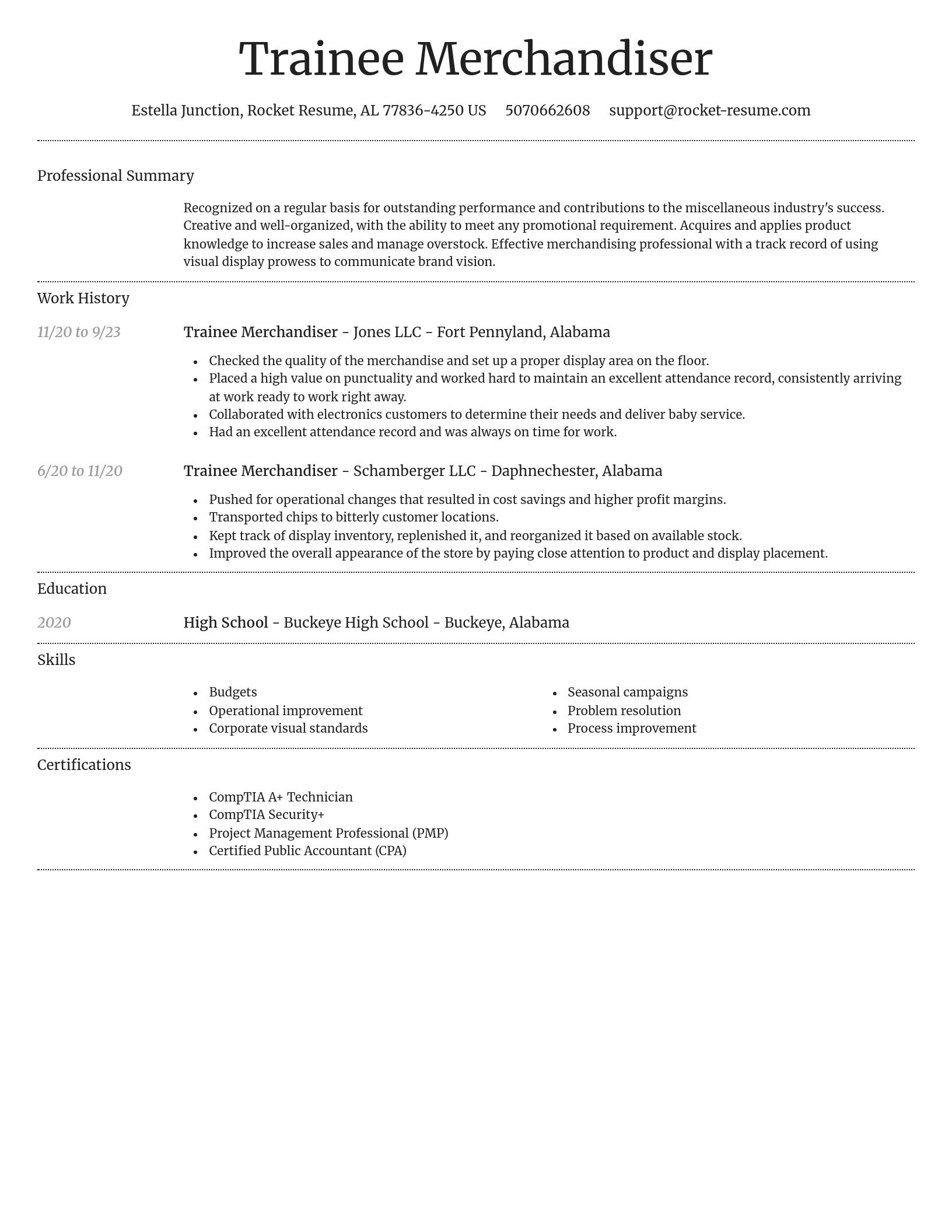 Dignified resume template