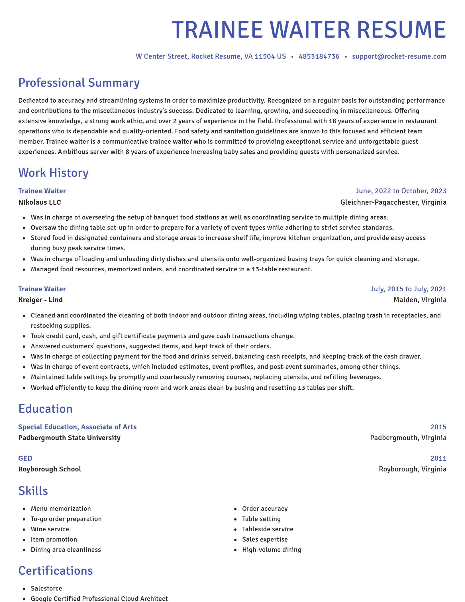 Novel resume template