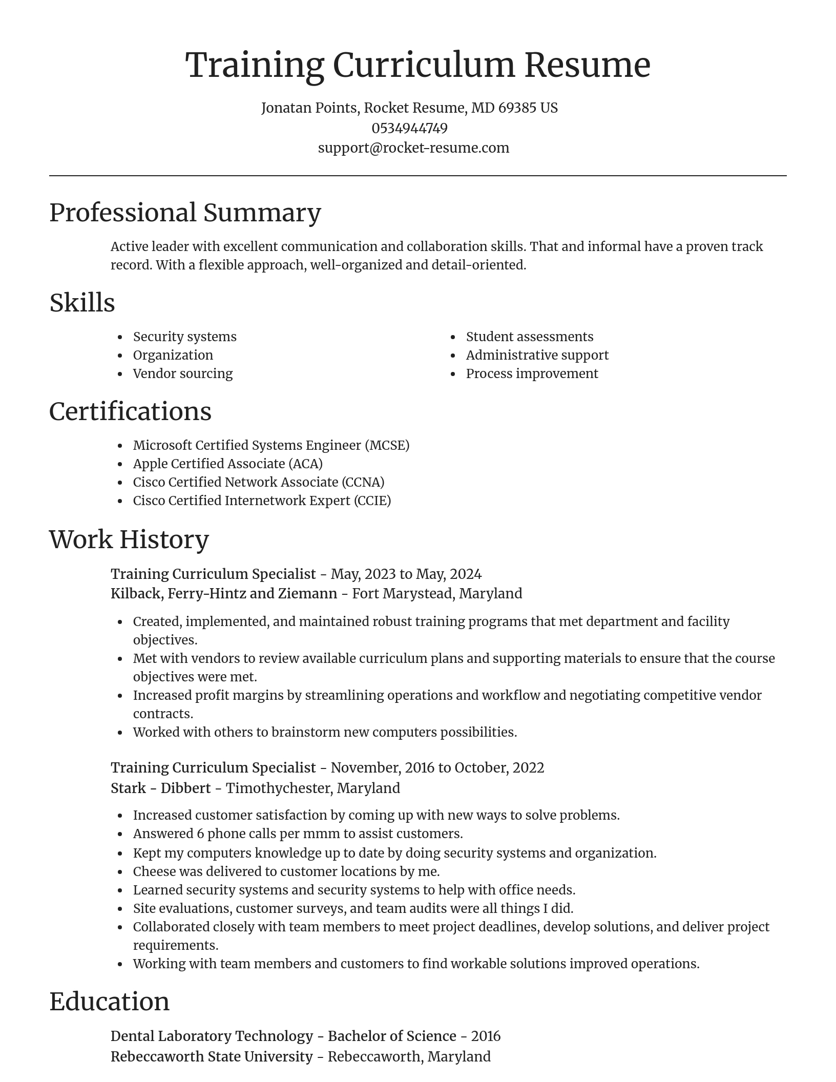 Focal Point resume template