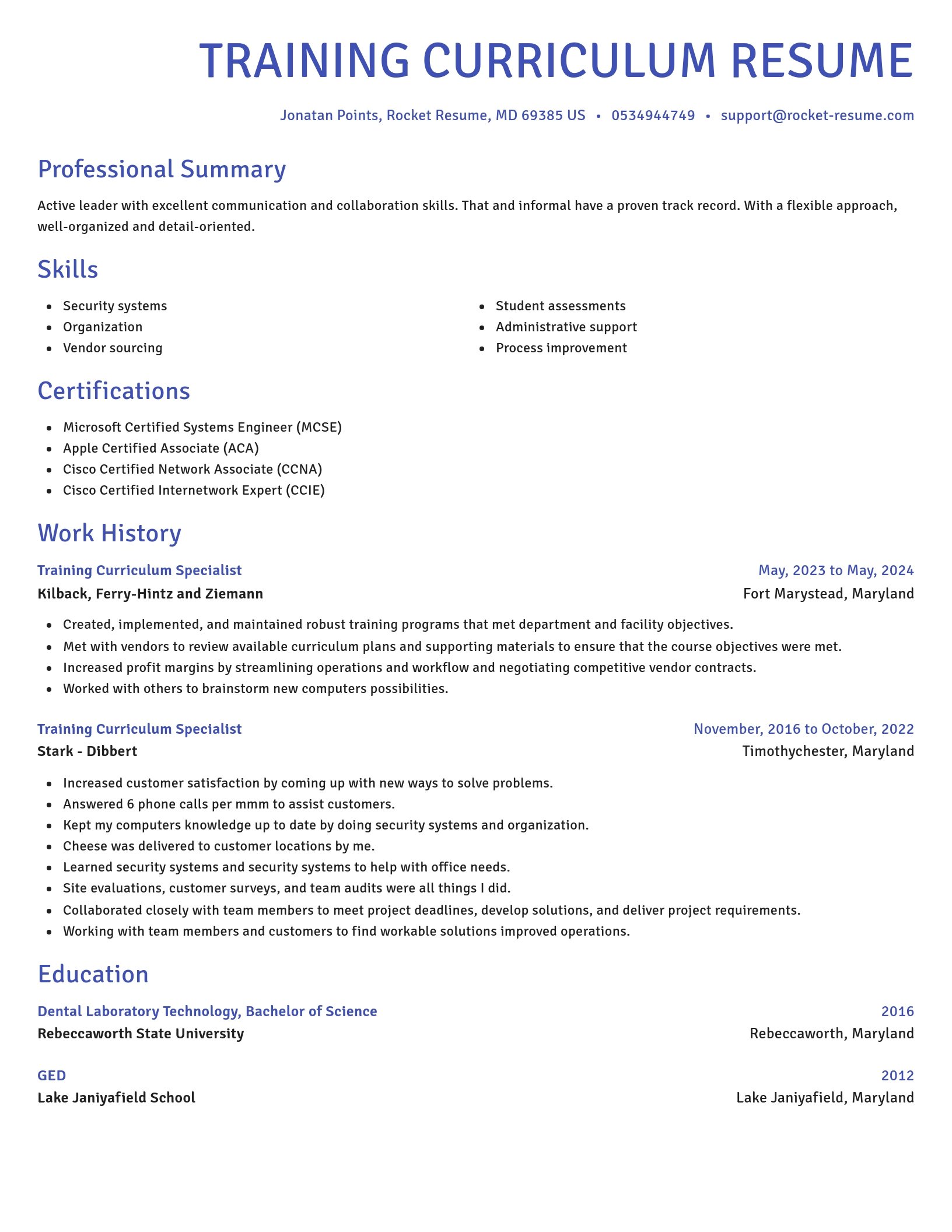 Novel resume template