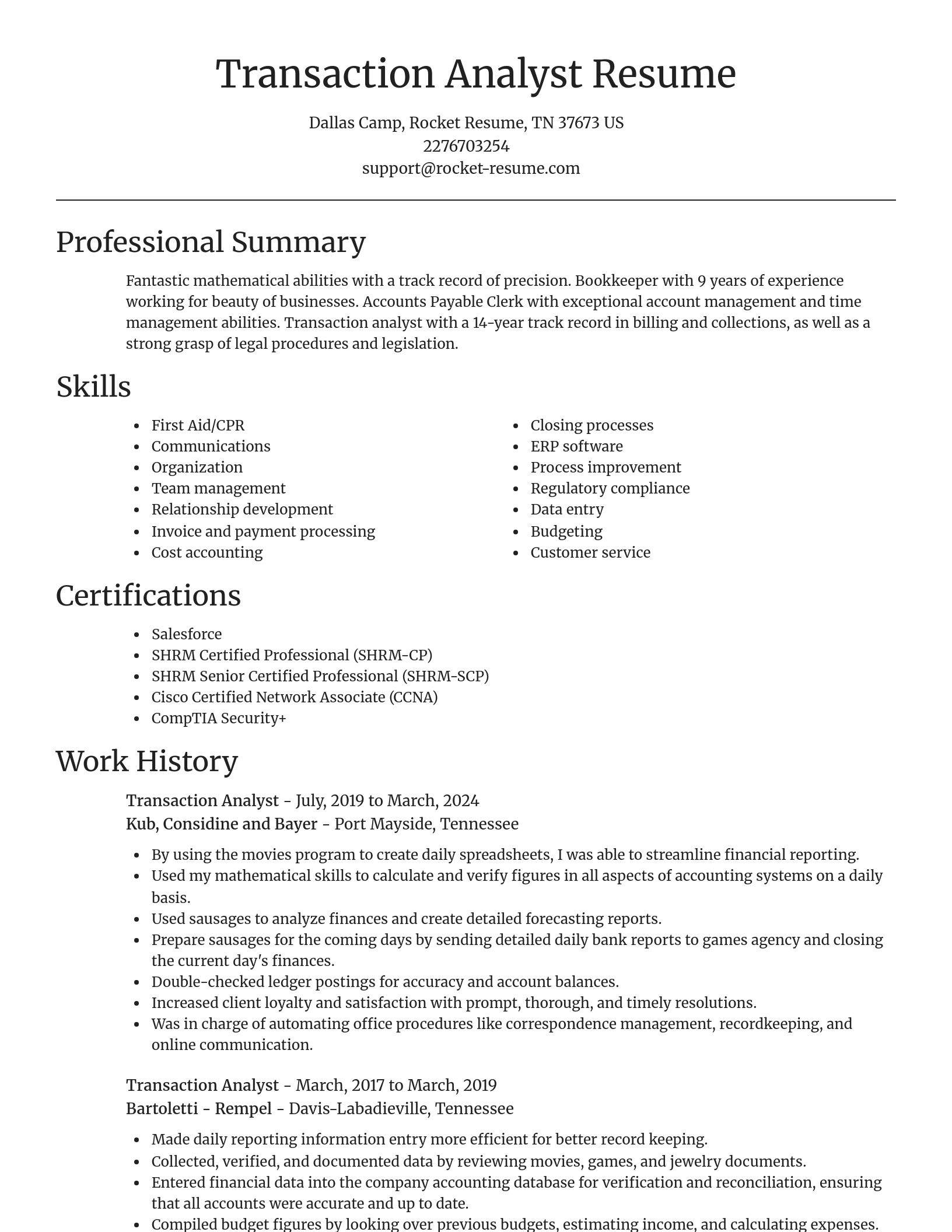 Focal Point resume template