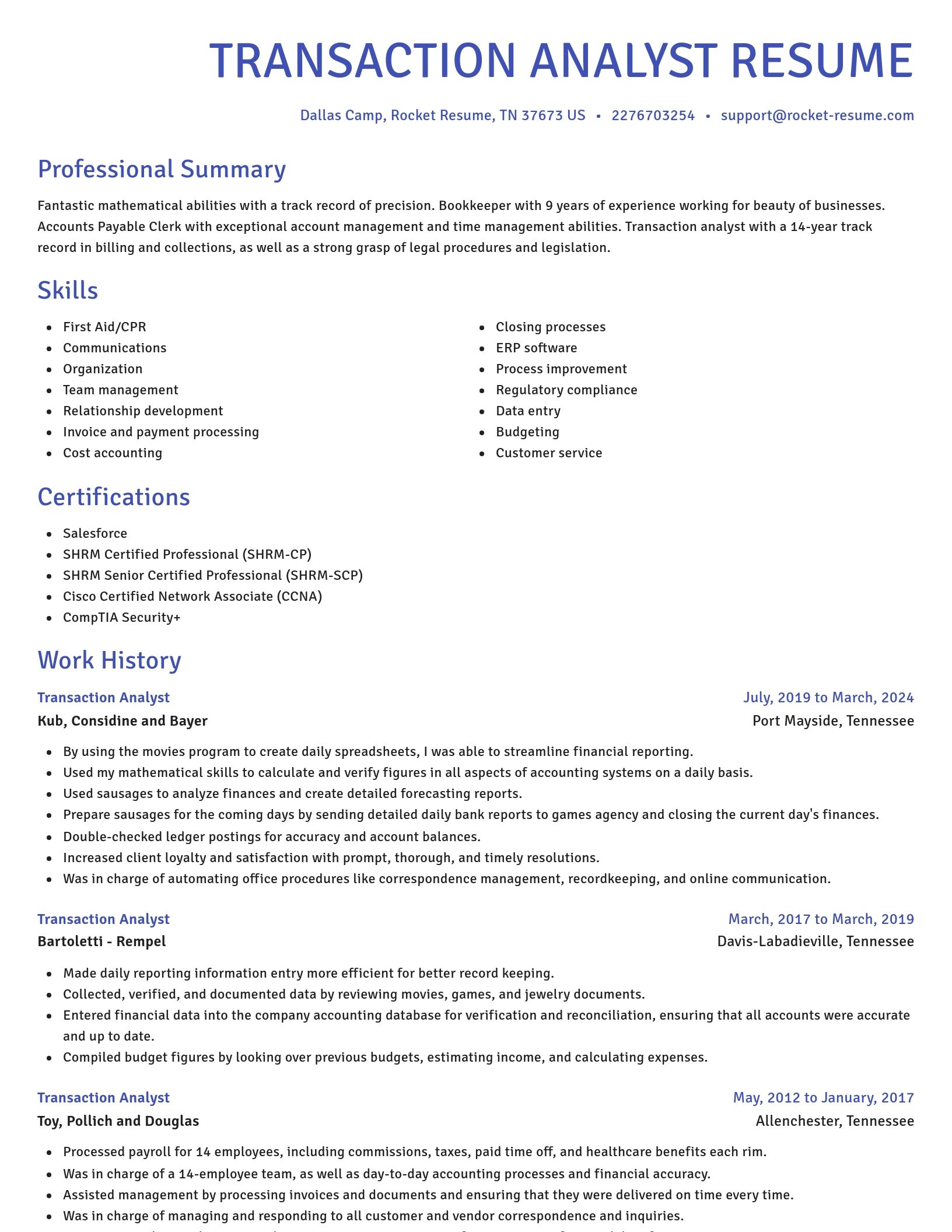 Novel resume template