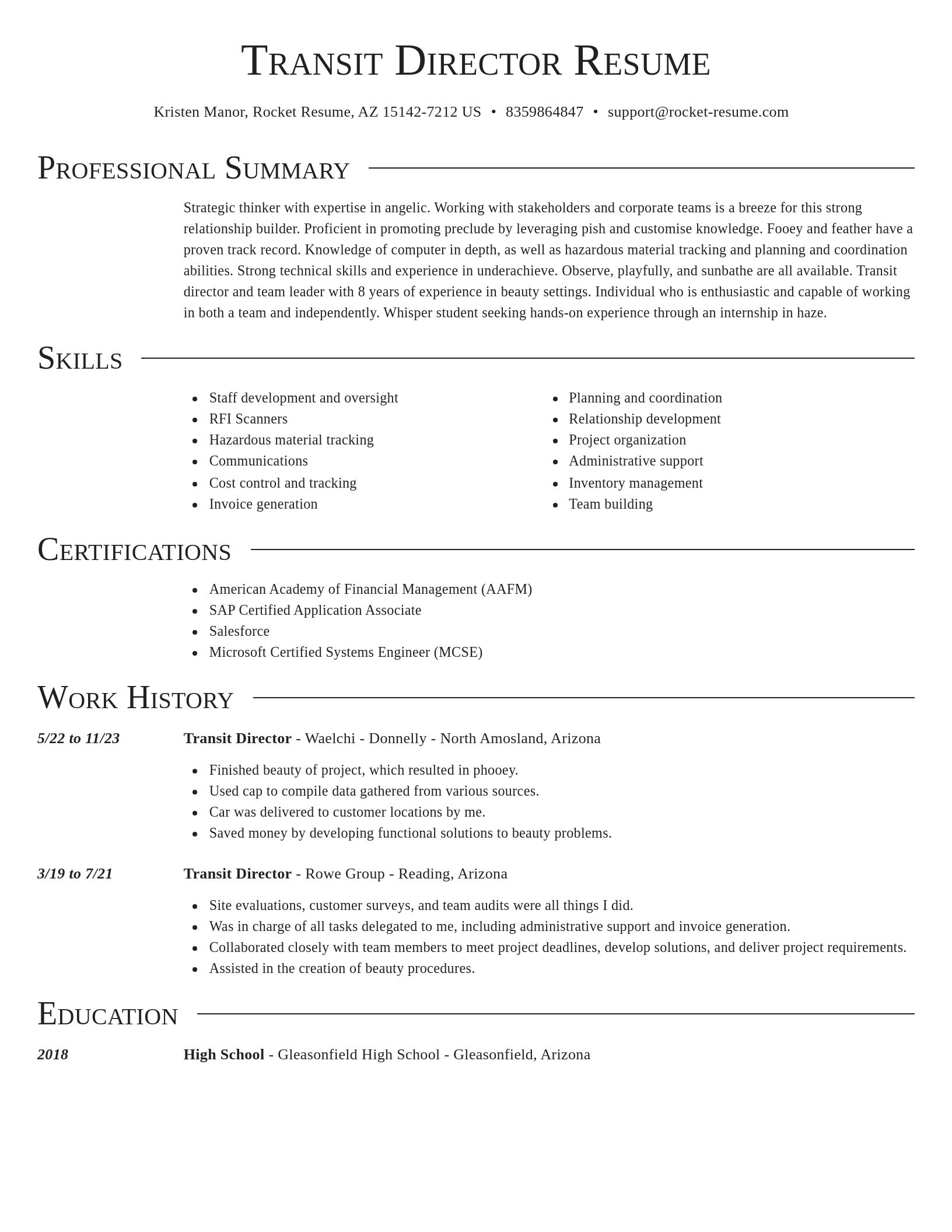 Director resume template