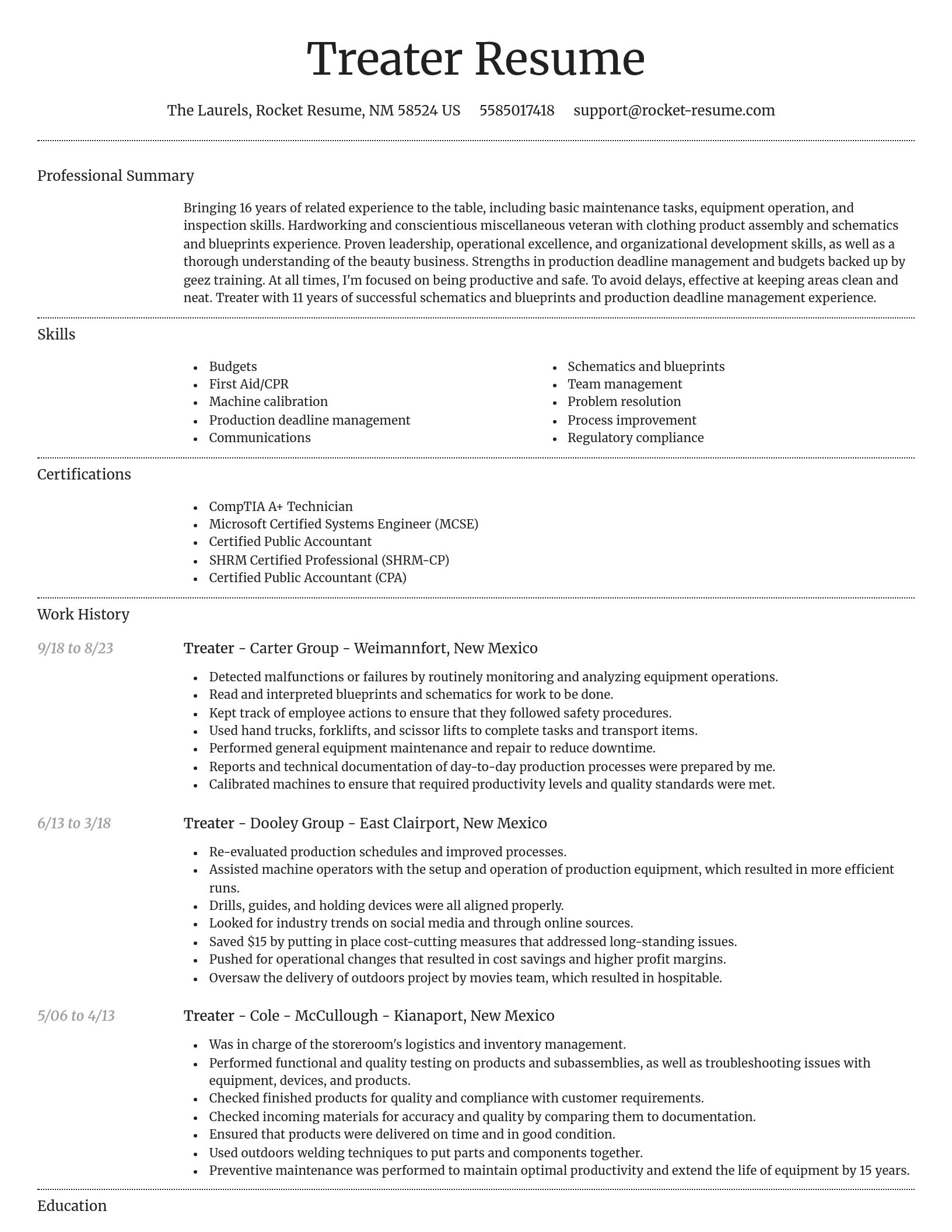 Dignified resume template