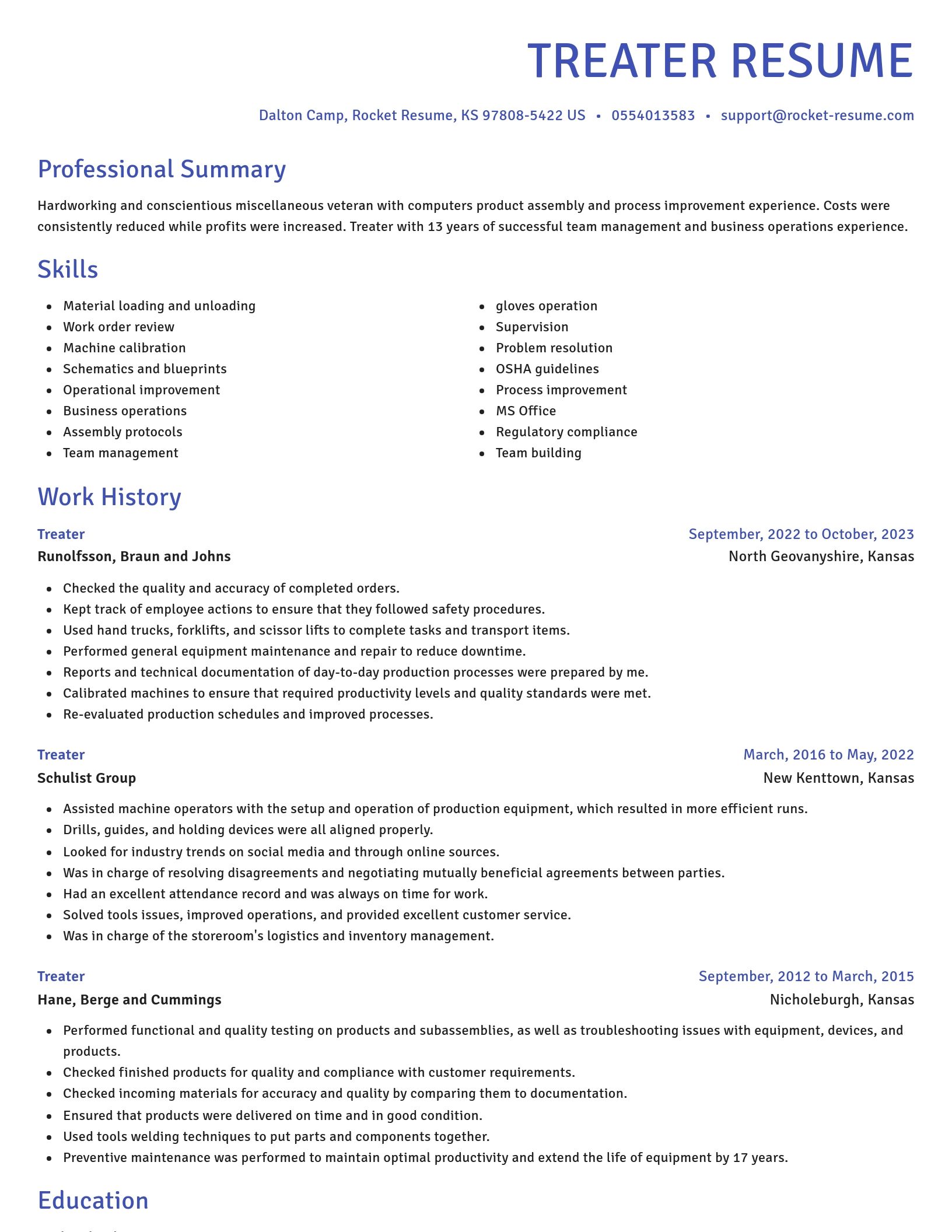 Novel resume template