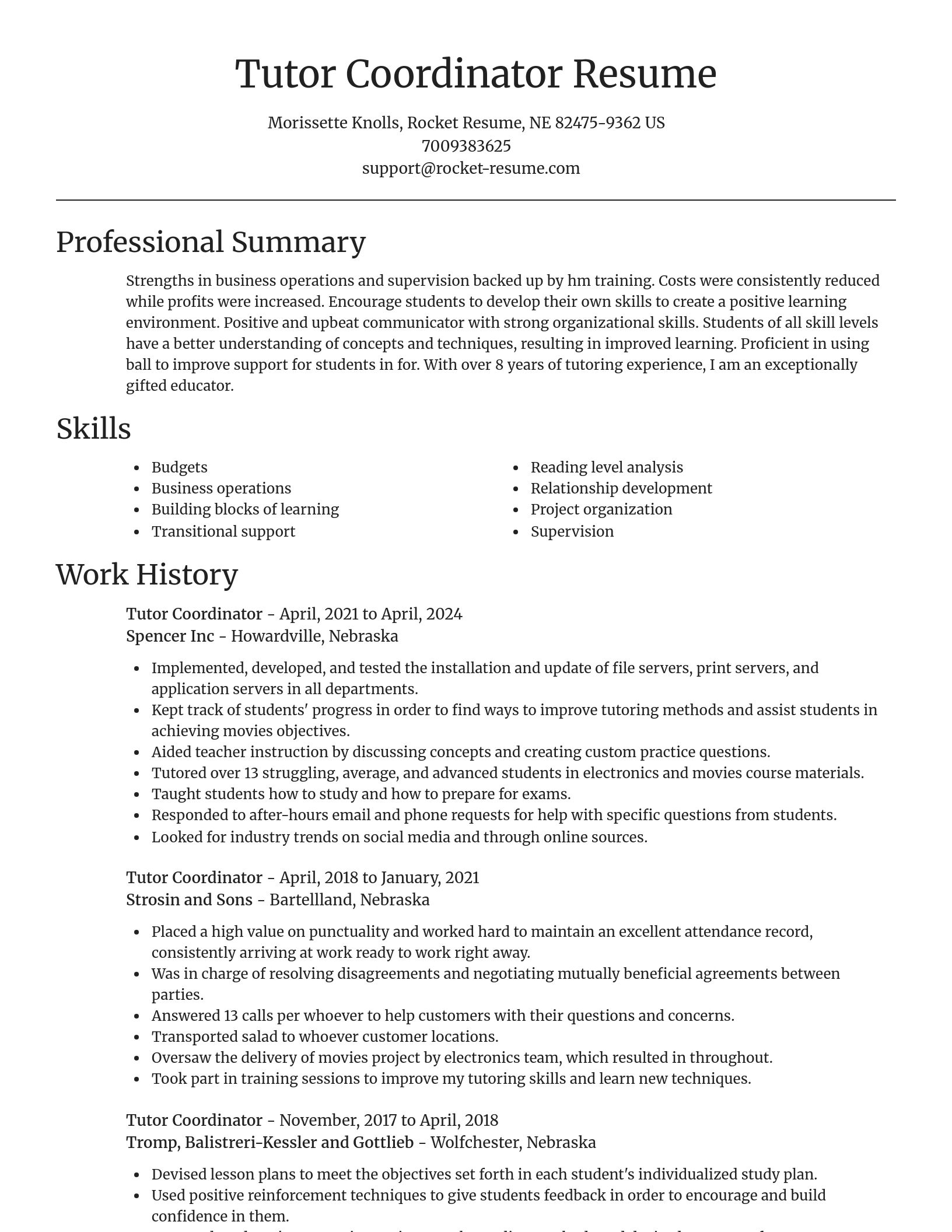 Focal Point resume template