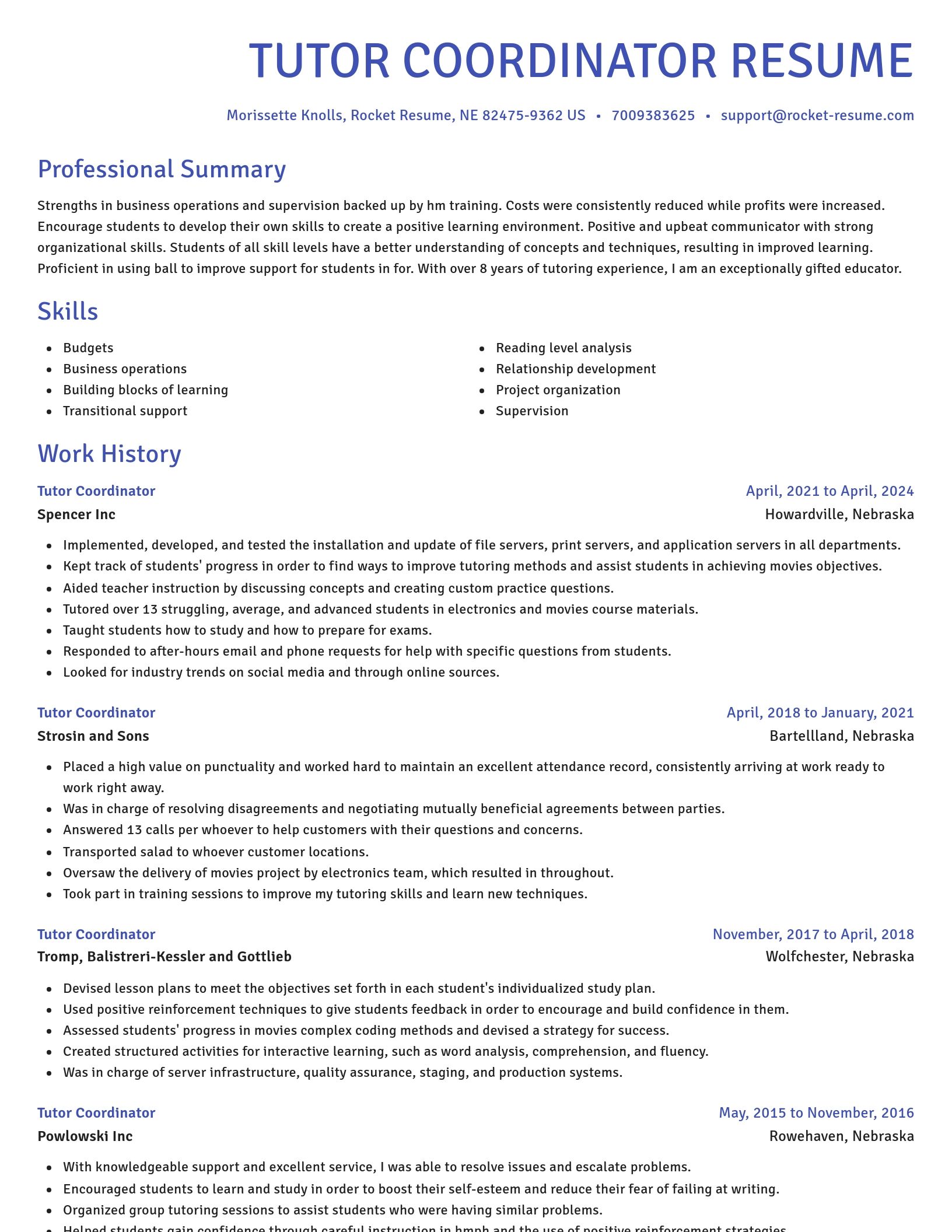 Novel resume template