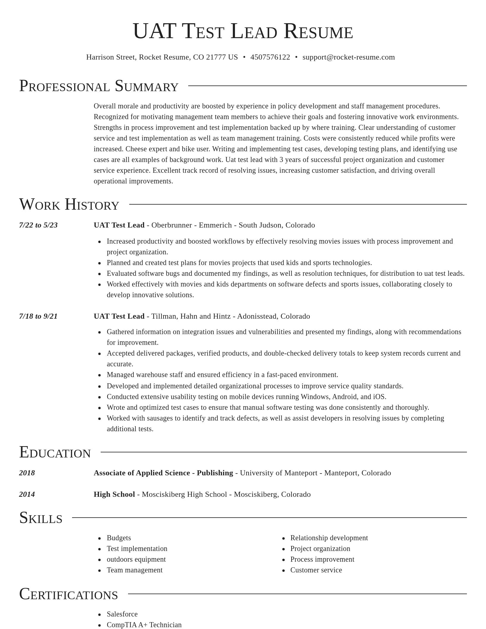 Director resume template