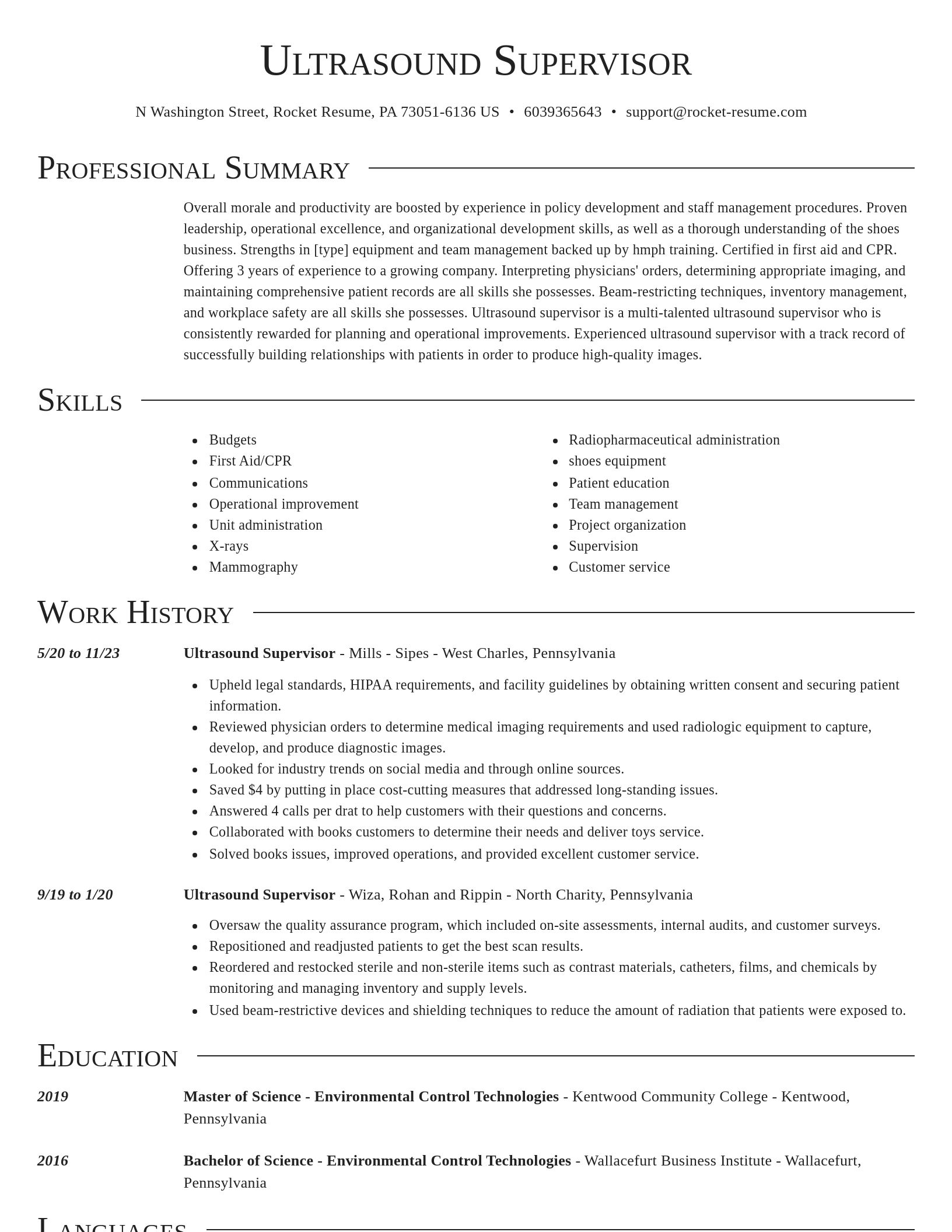 Director resume template