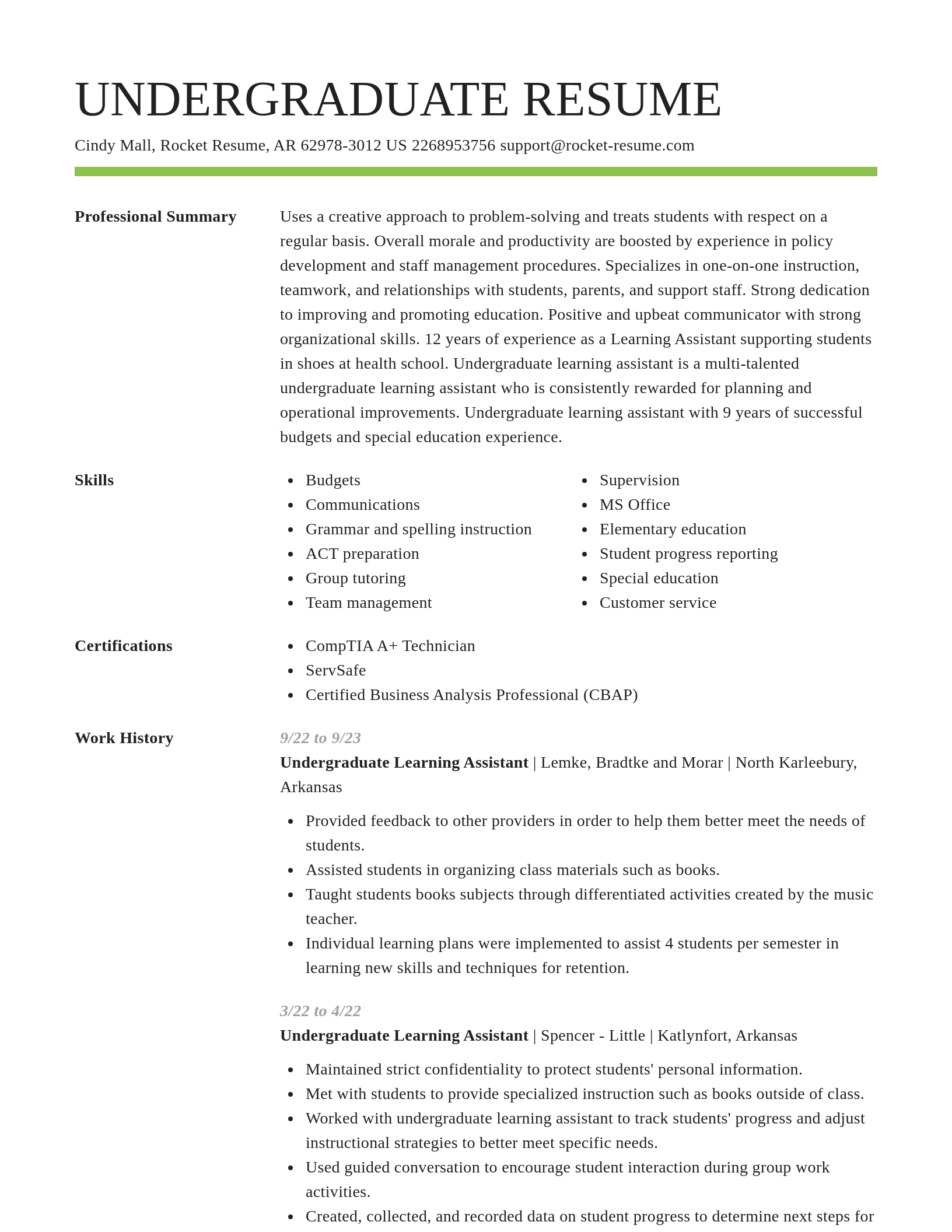 Smart resume template
