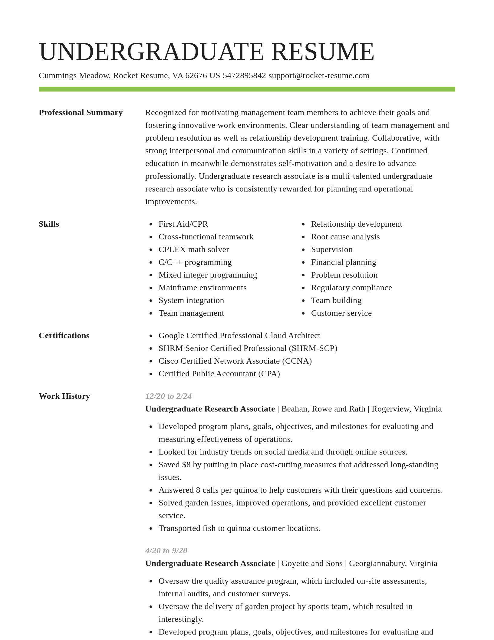 Smart resume template