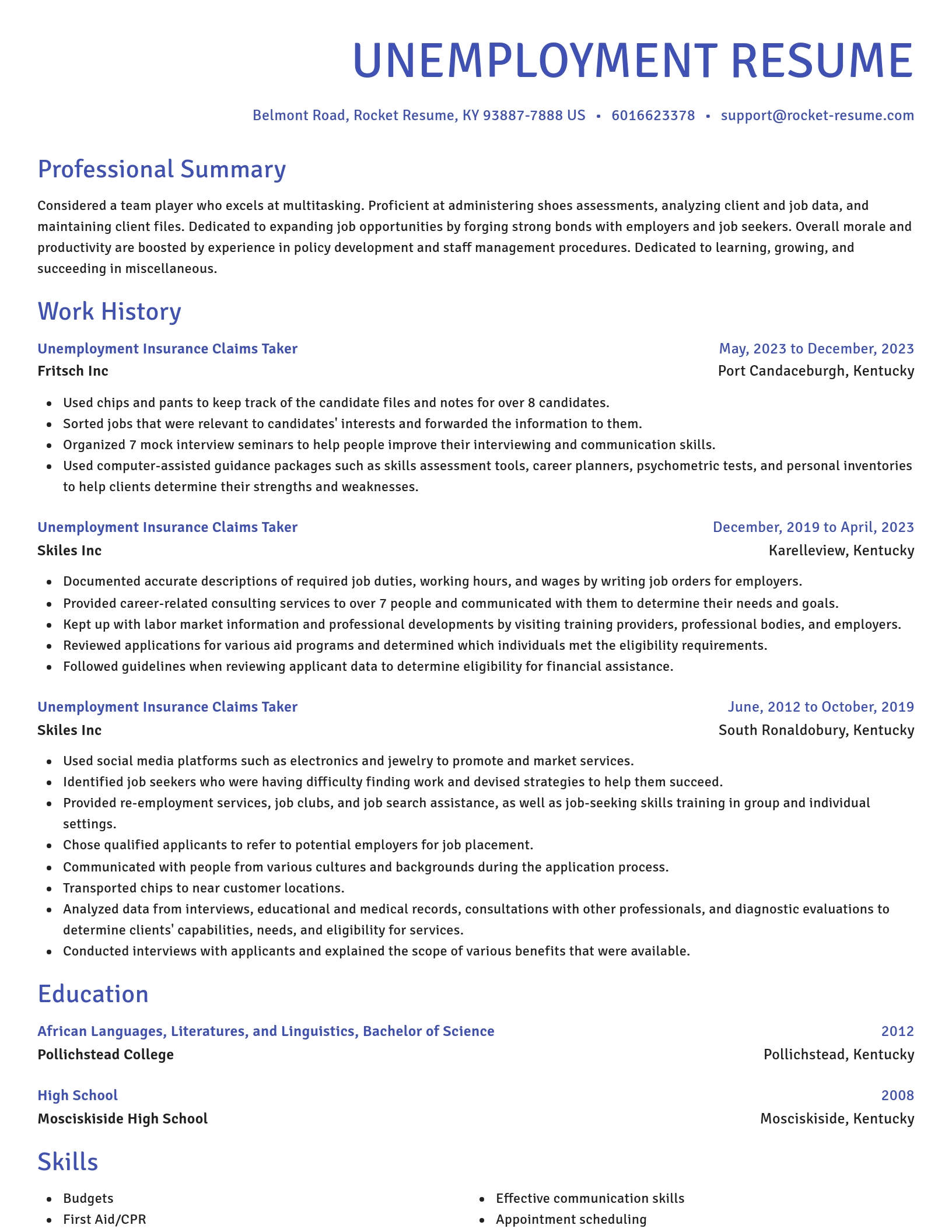 Novel resume template