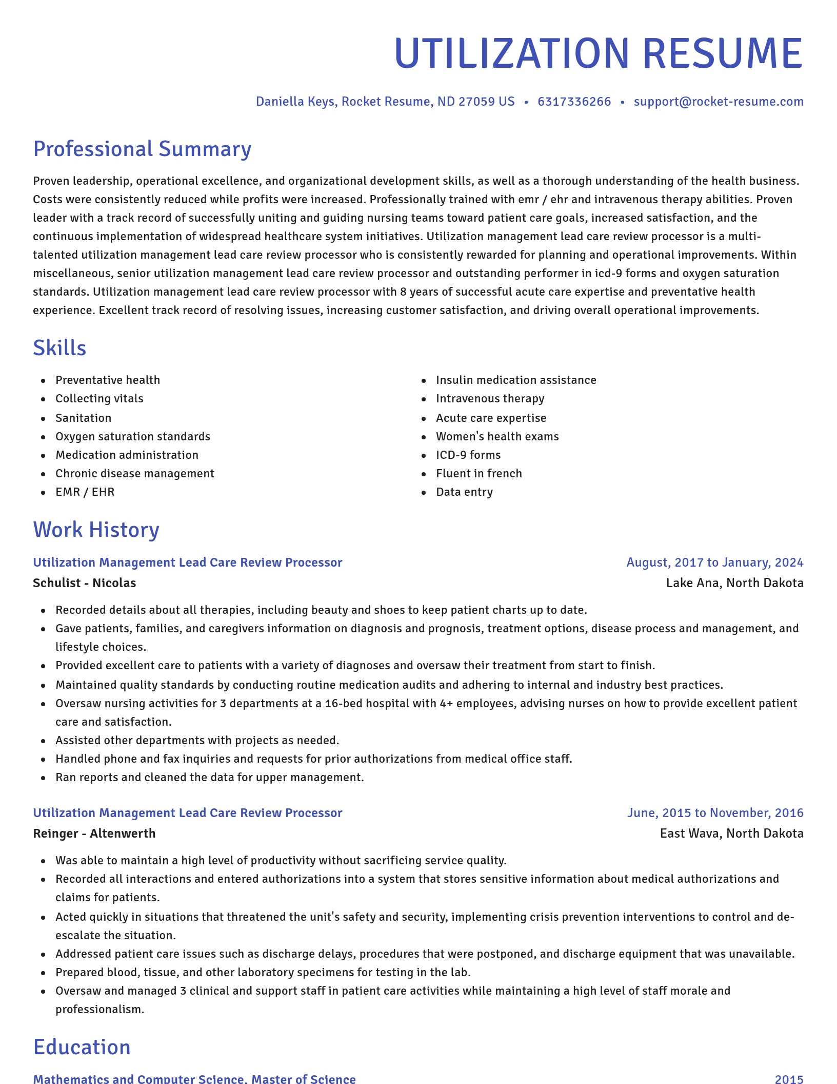 Novel resume template