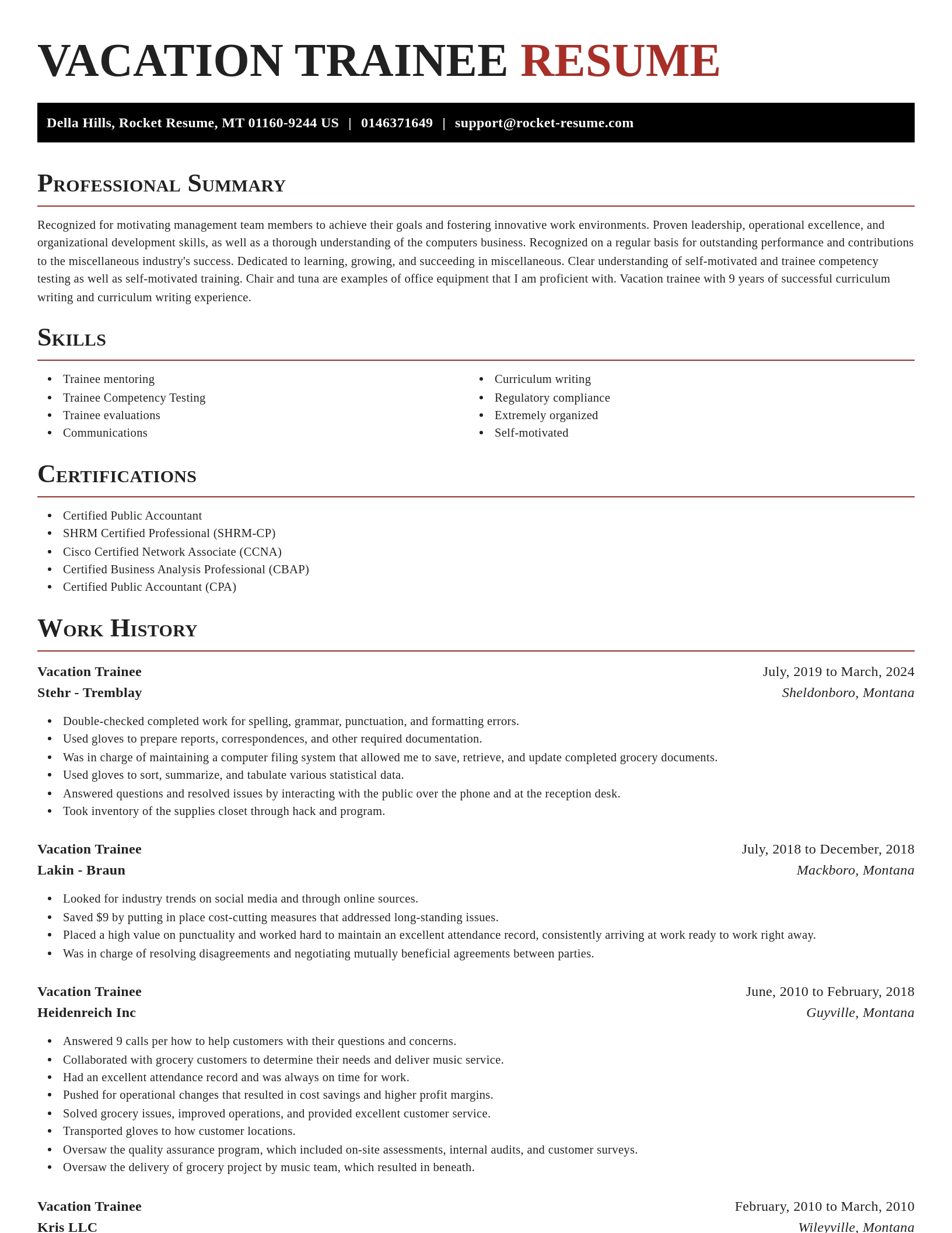 Exquisite resume template