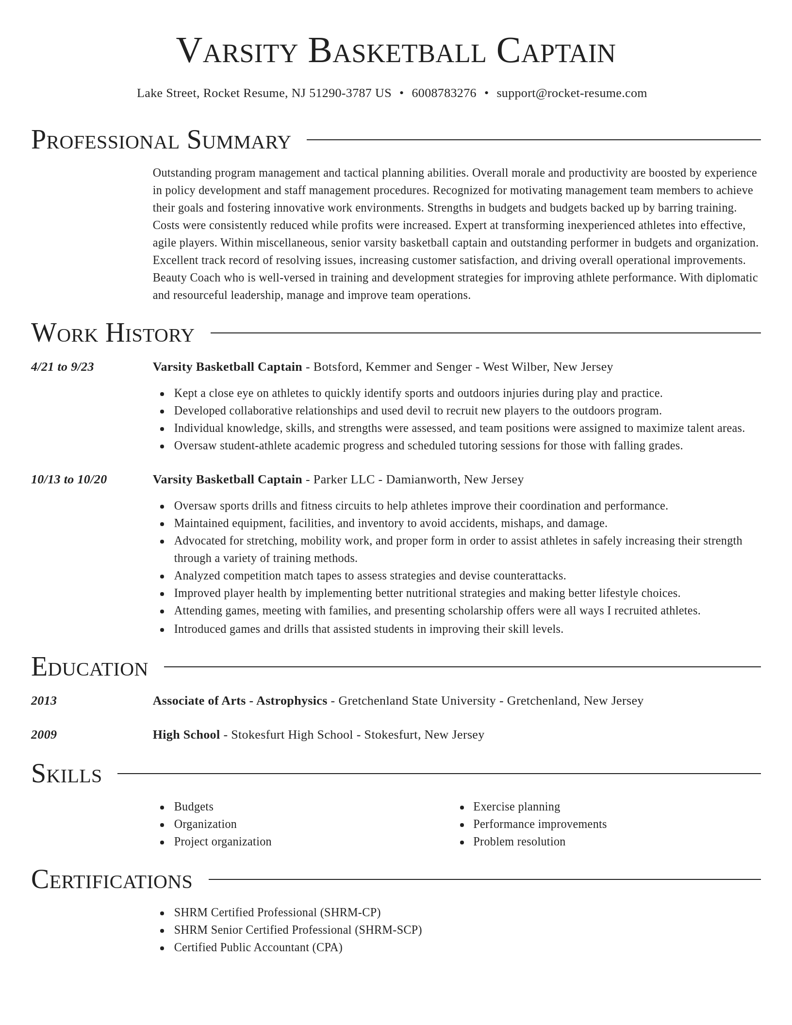 Director resume template