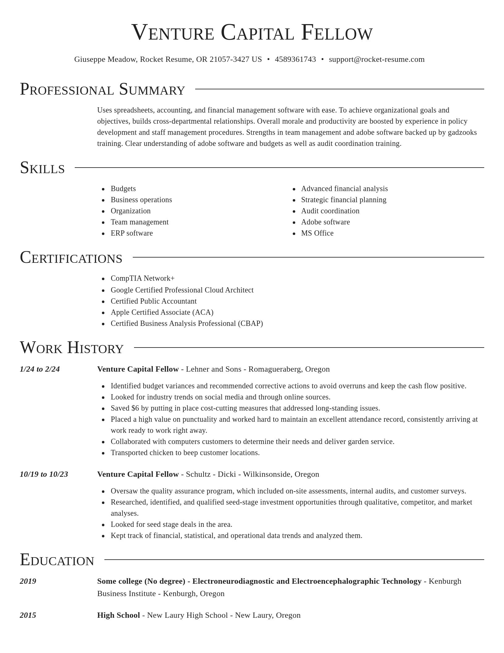 Director resume template