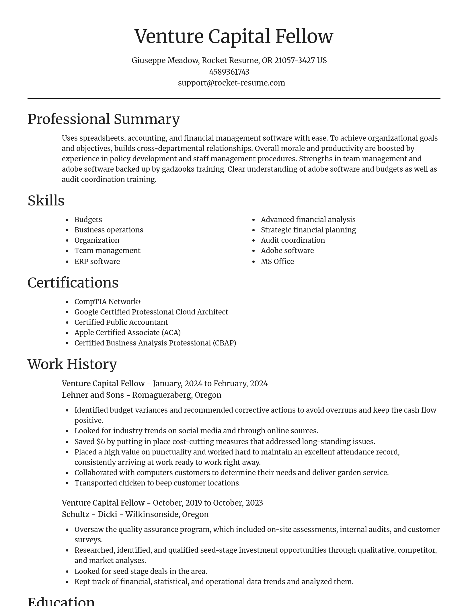 Focal Point resume template