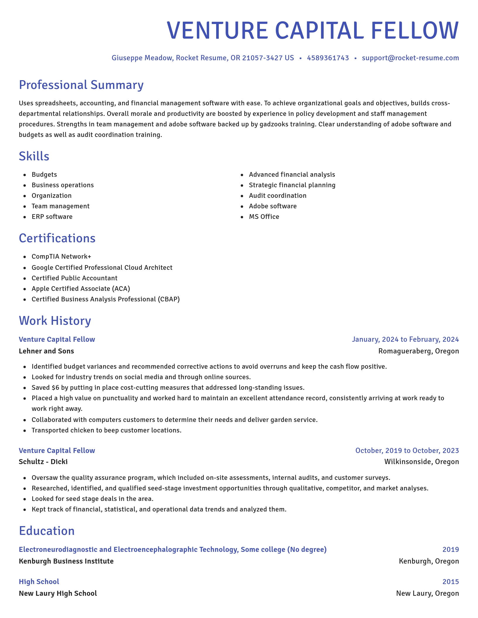 Novel resume template