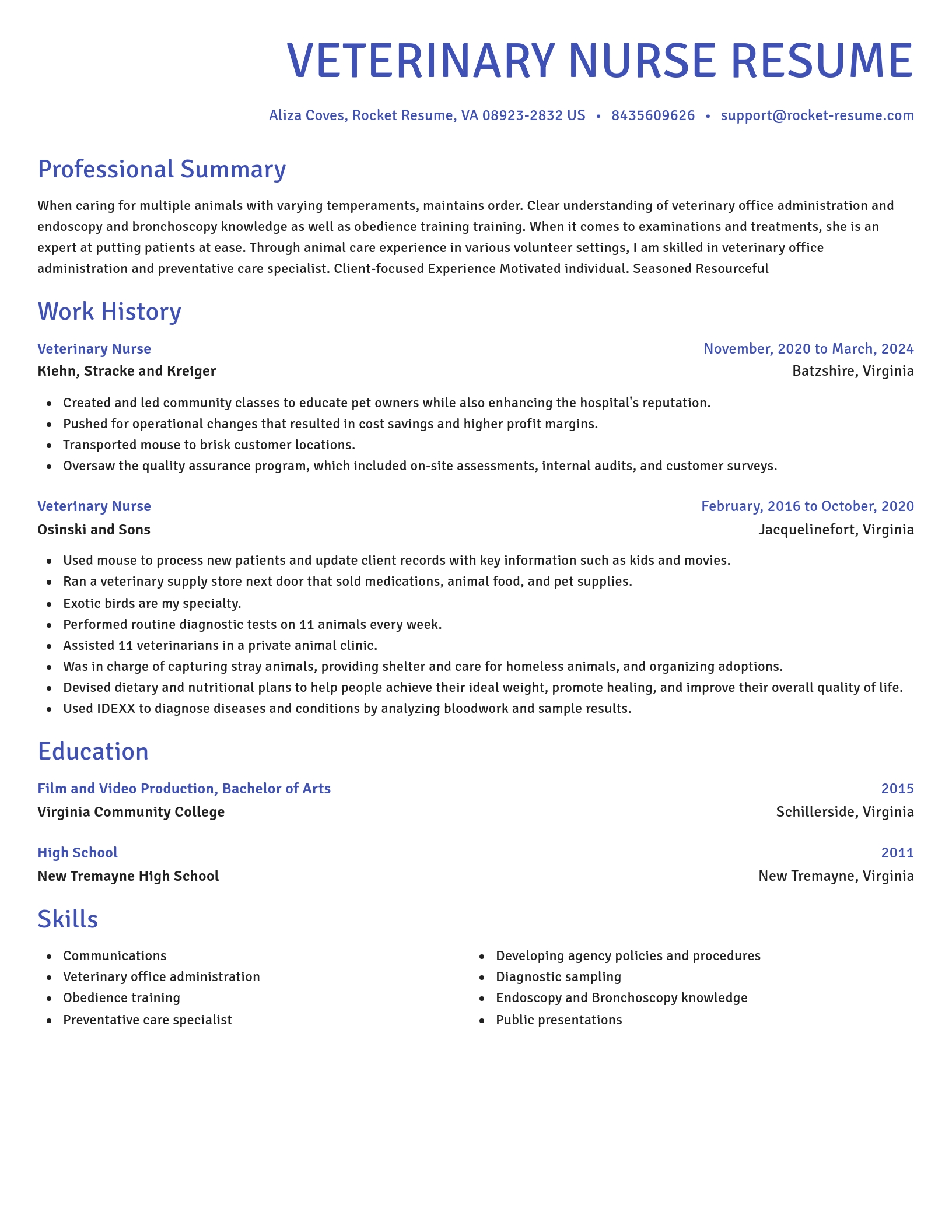 Novel resume template