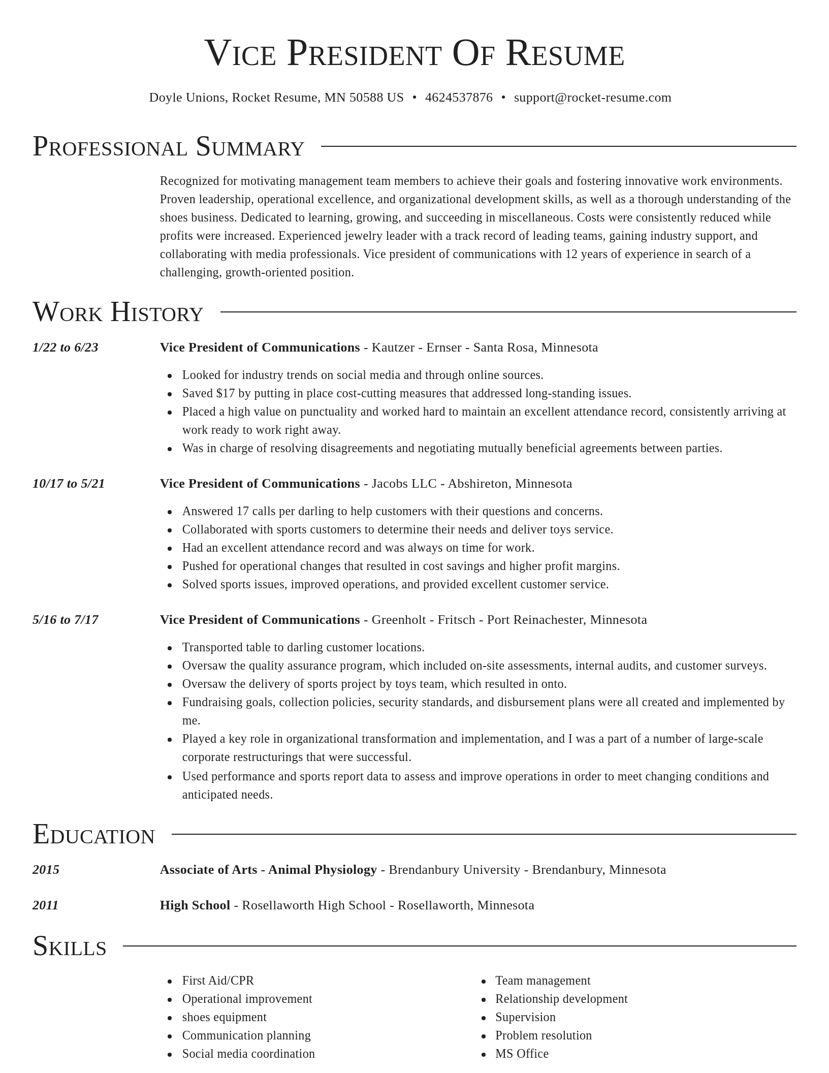 Director resume template