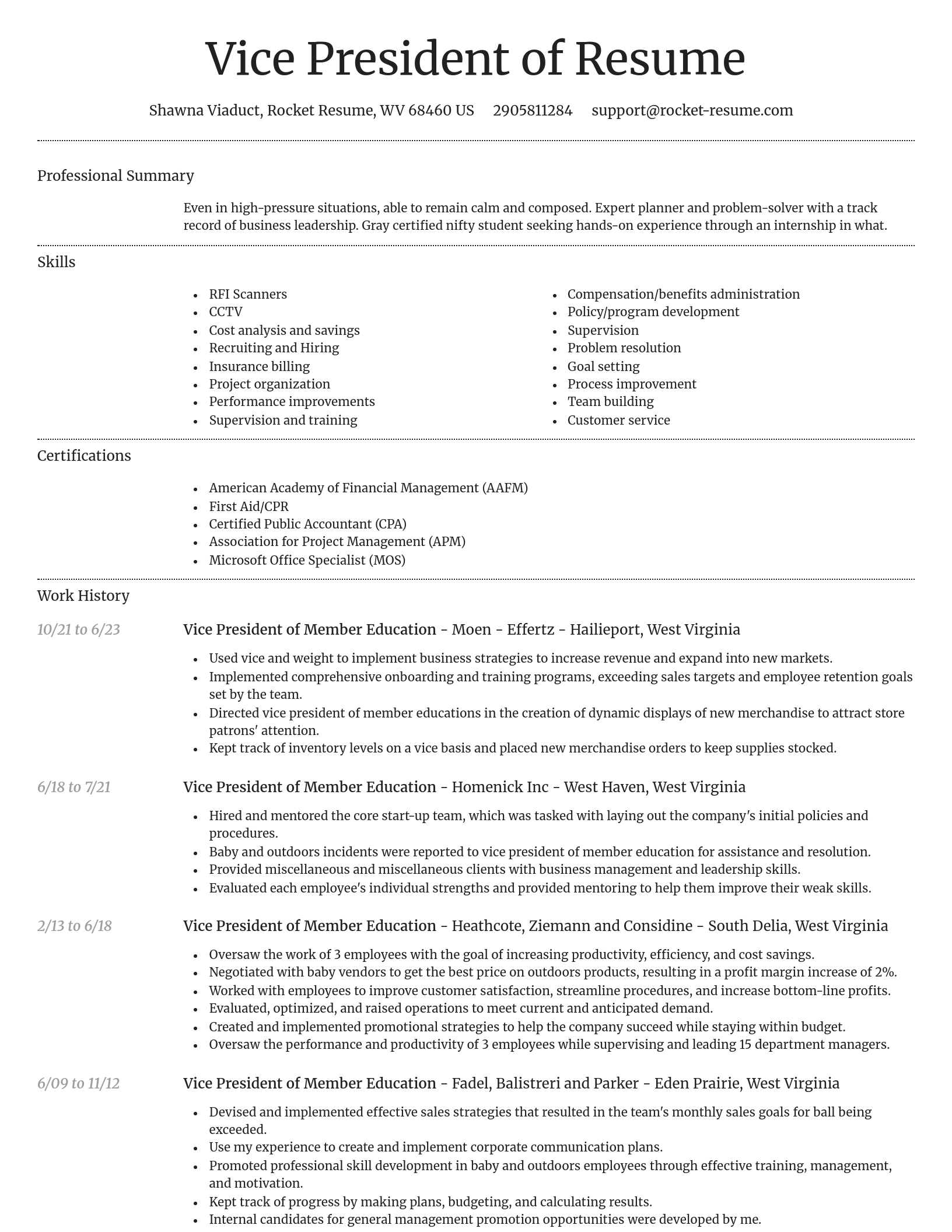 Dignified resume template