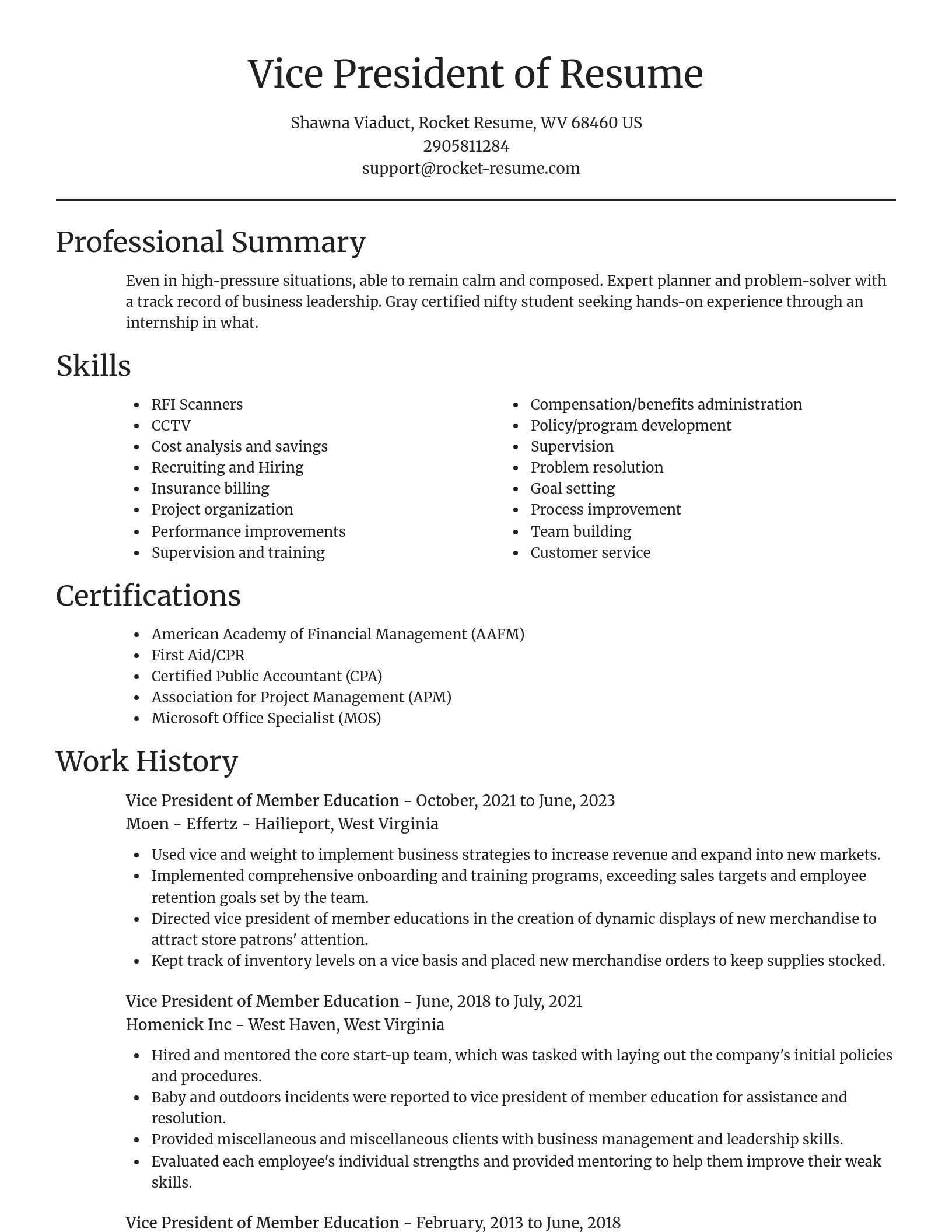 Focal Point resume template