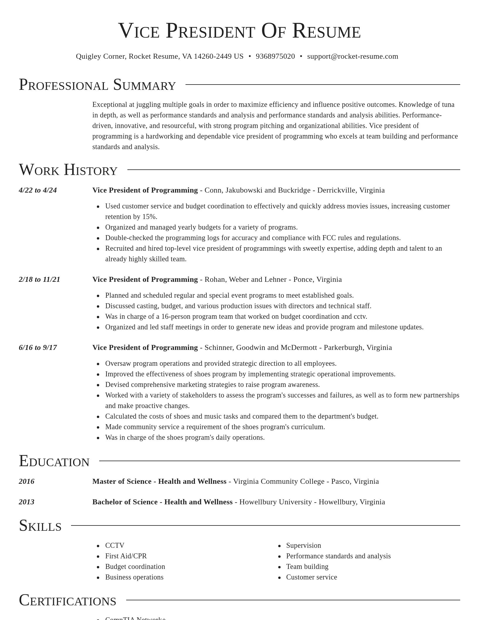Director resume template