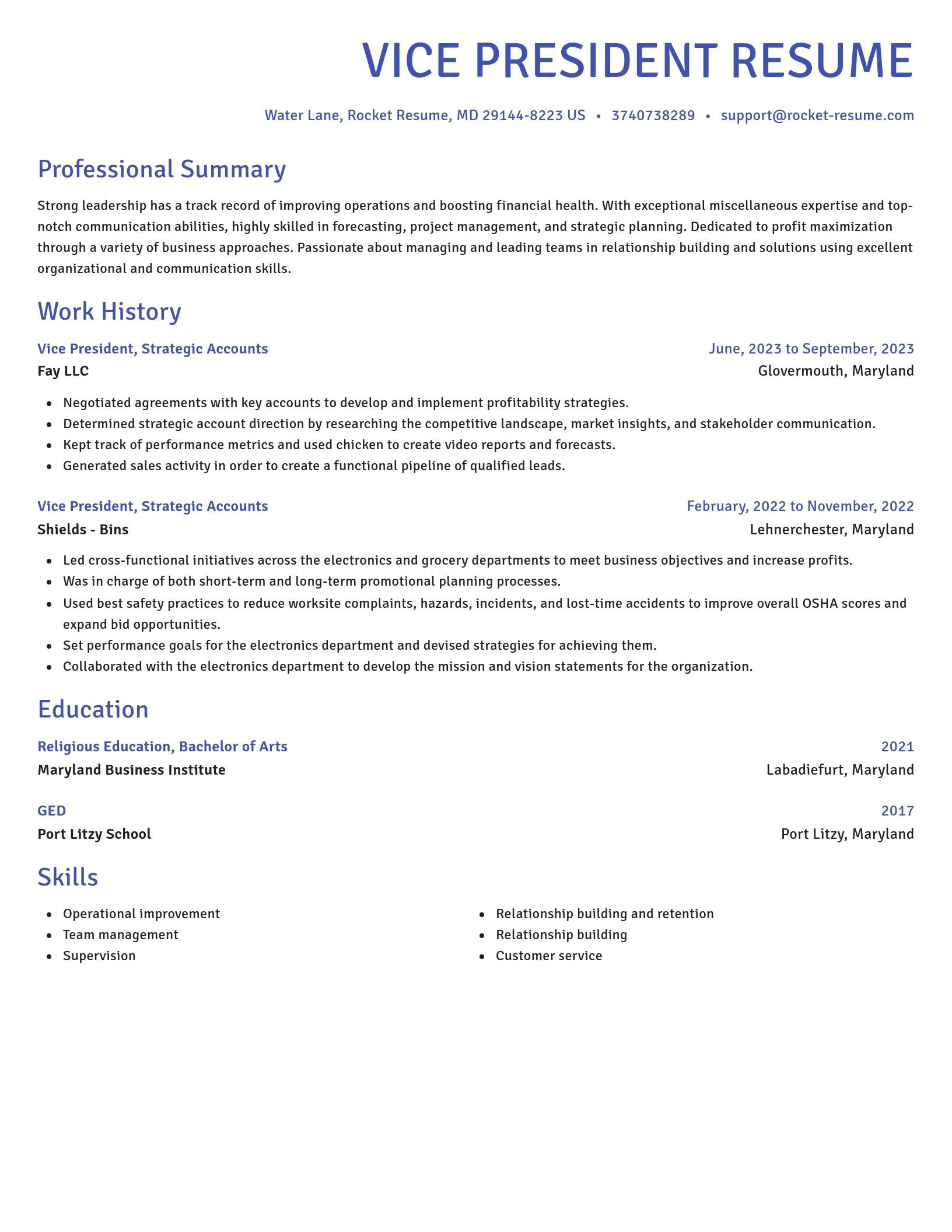Novel resume template