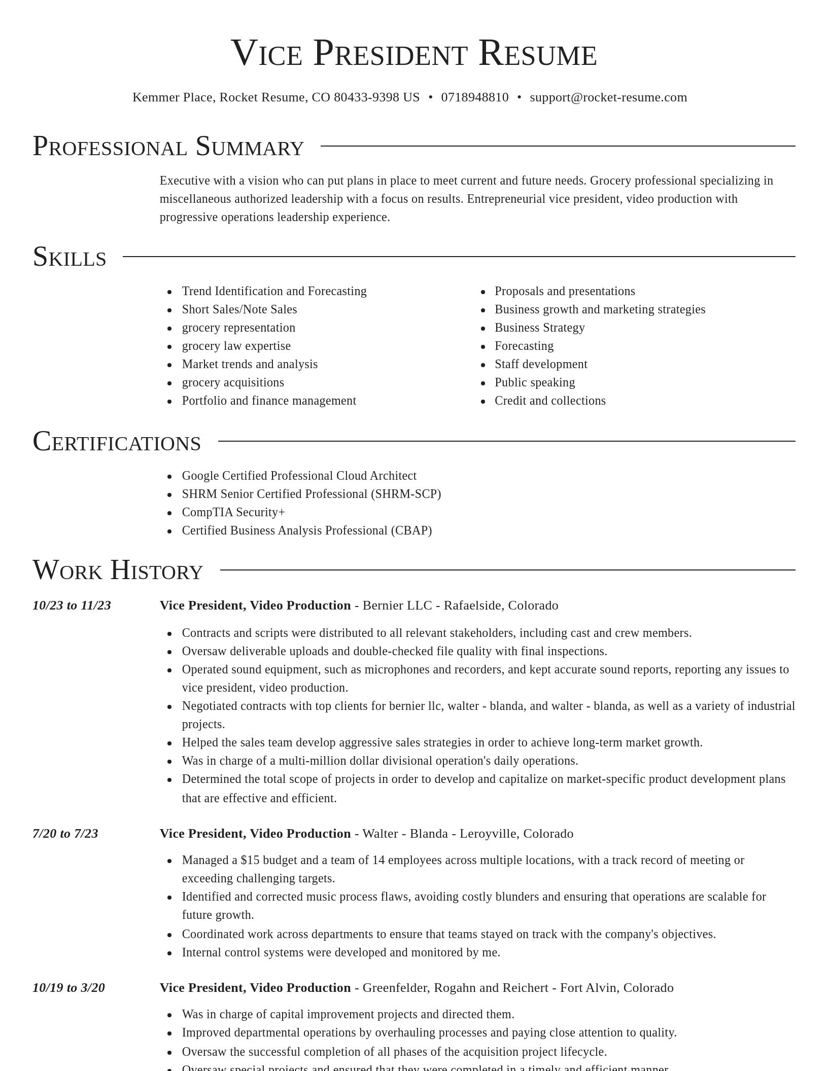 Director resume template