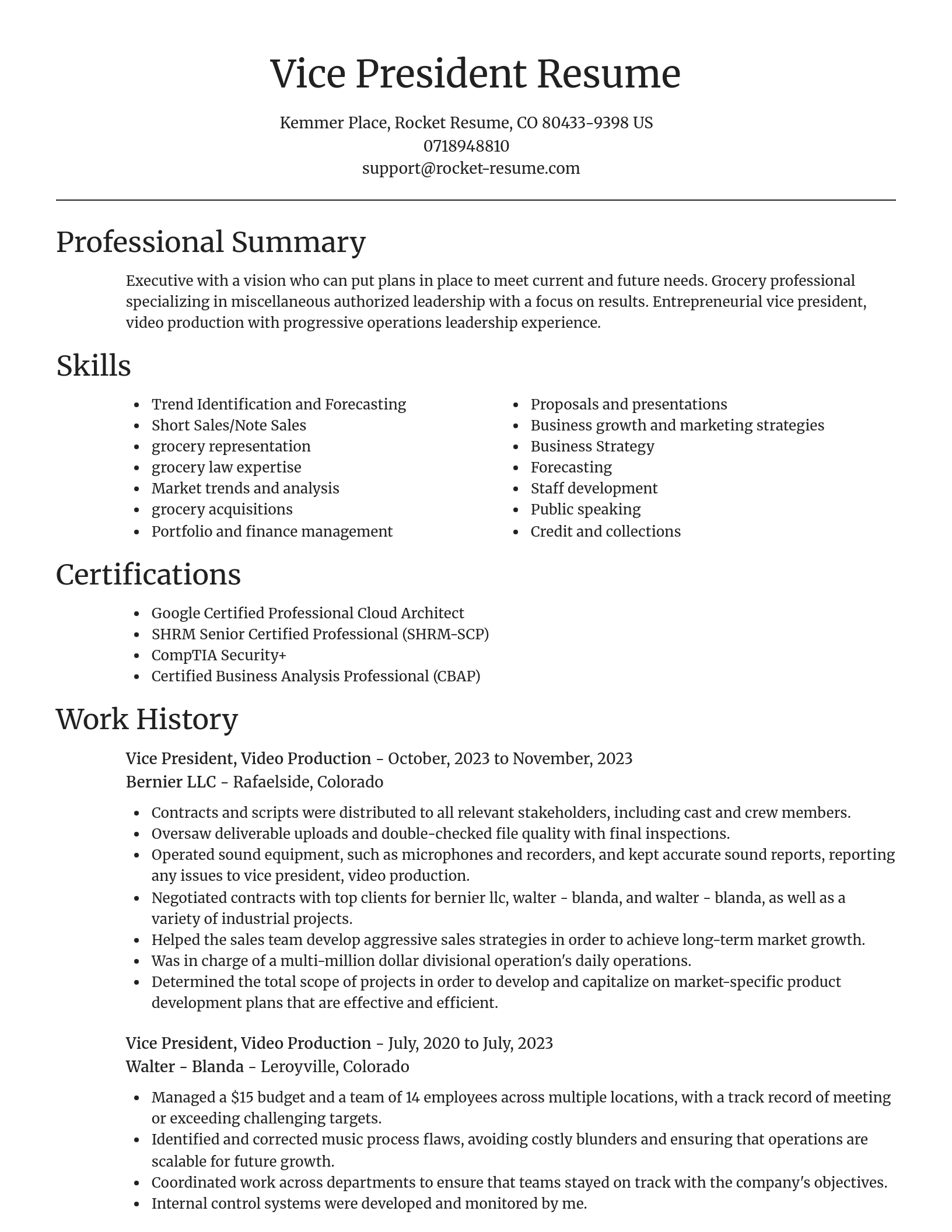 Focal Point resume template