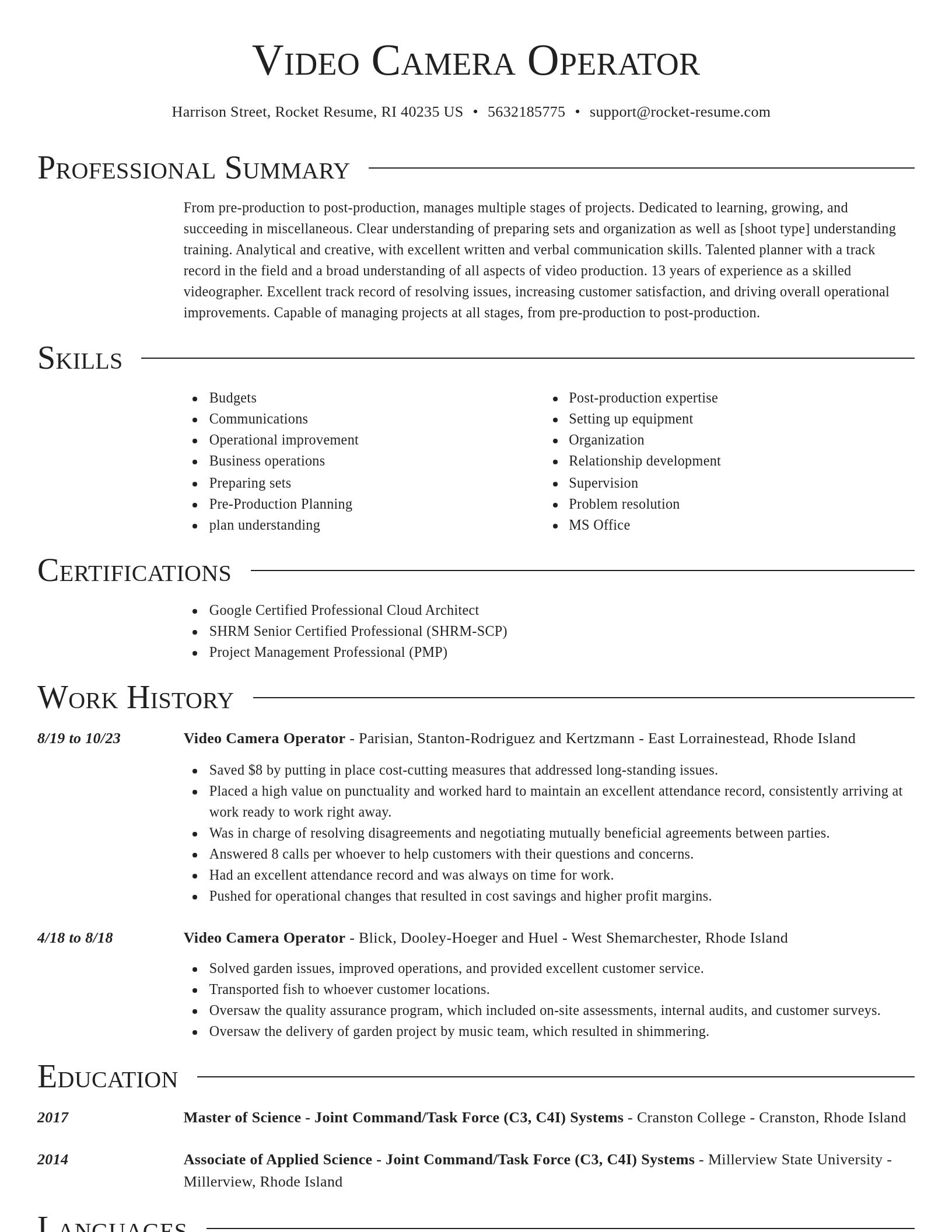 Director resume template