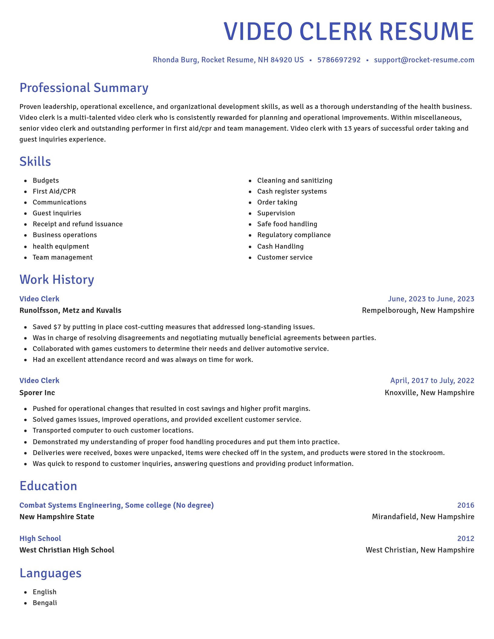 Novel resume template