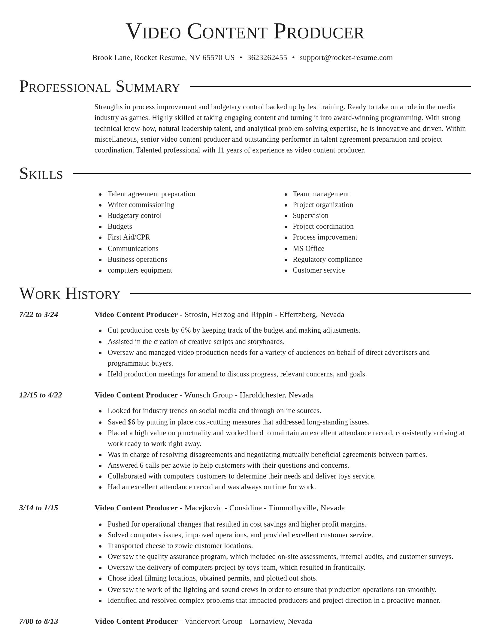 Director resume template