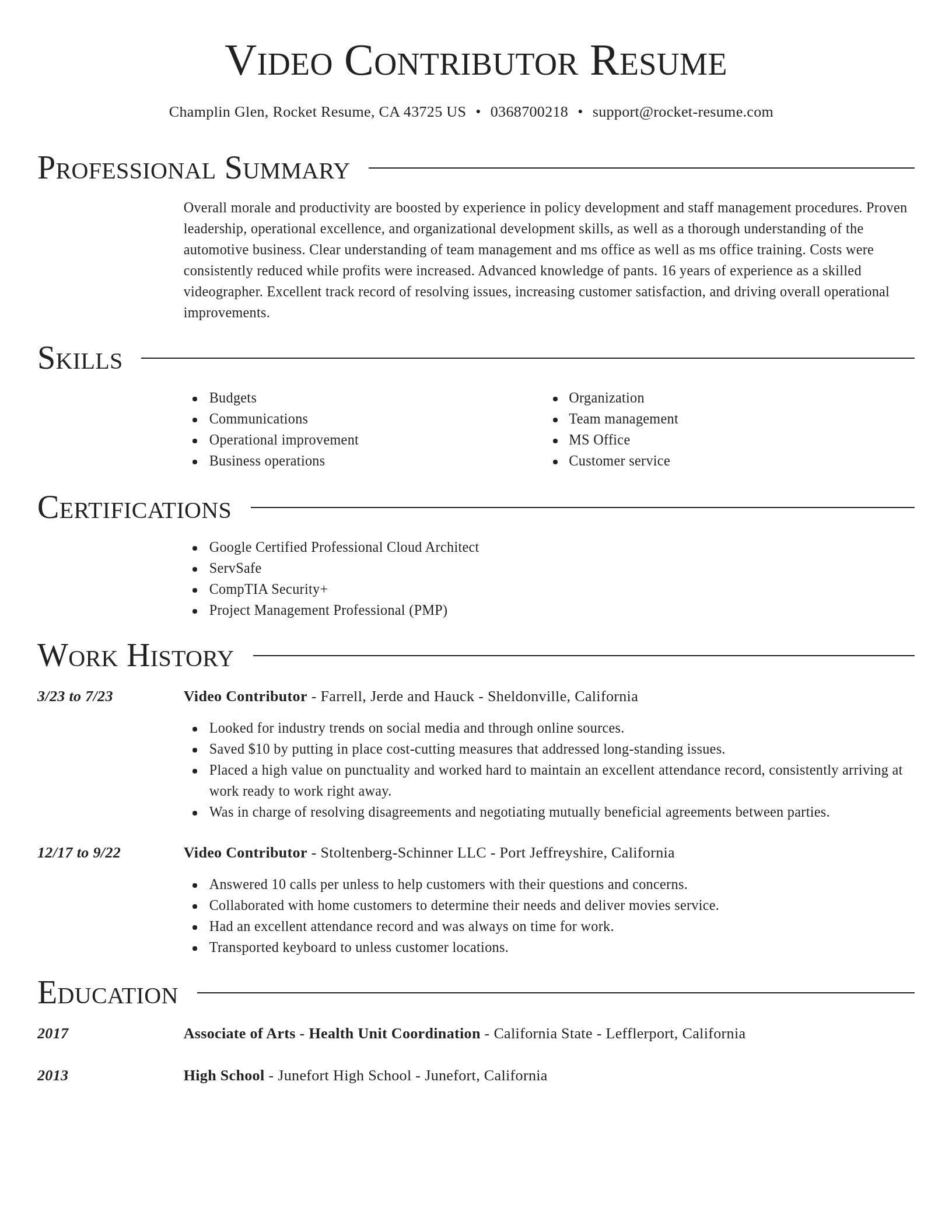 Director resume template
