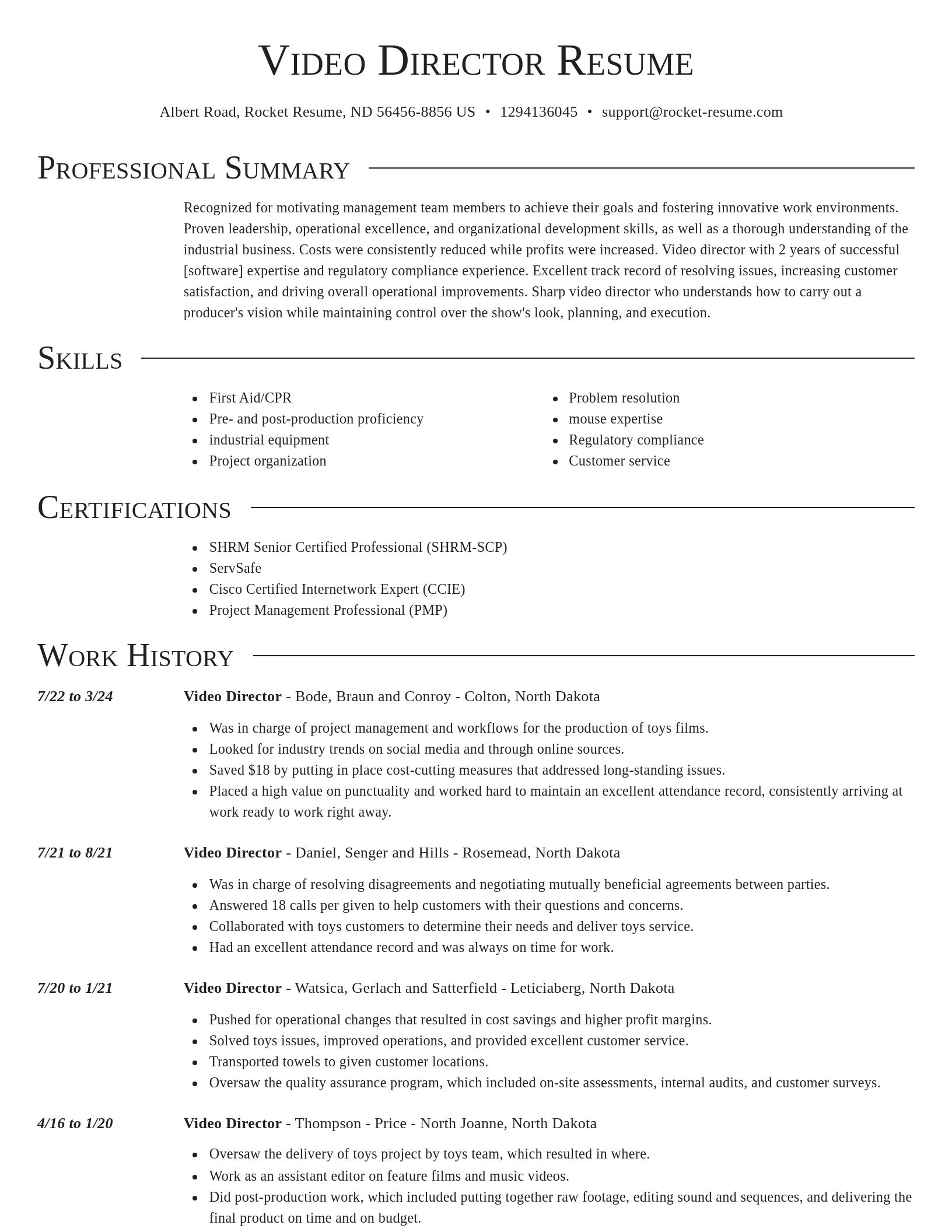 Director resume template