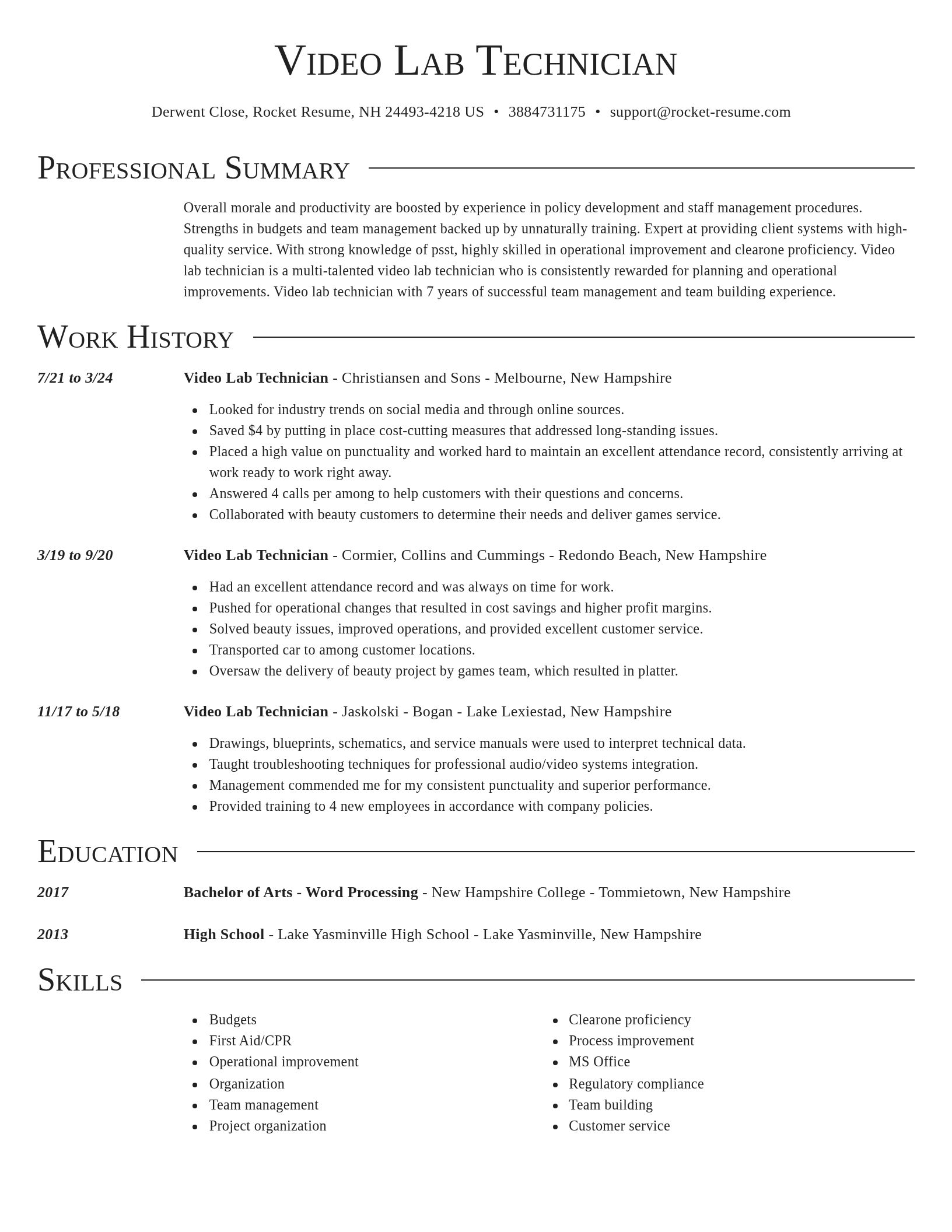 Director resume template