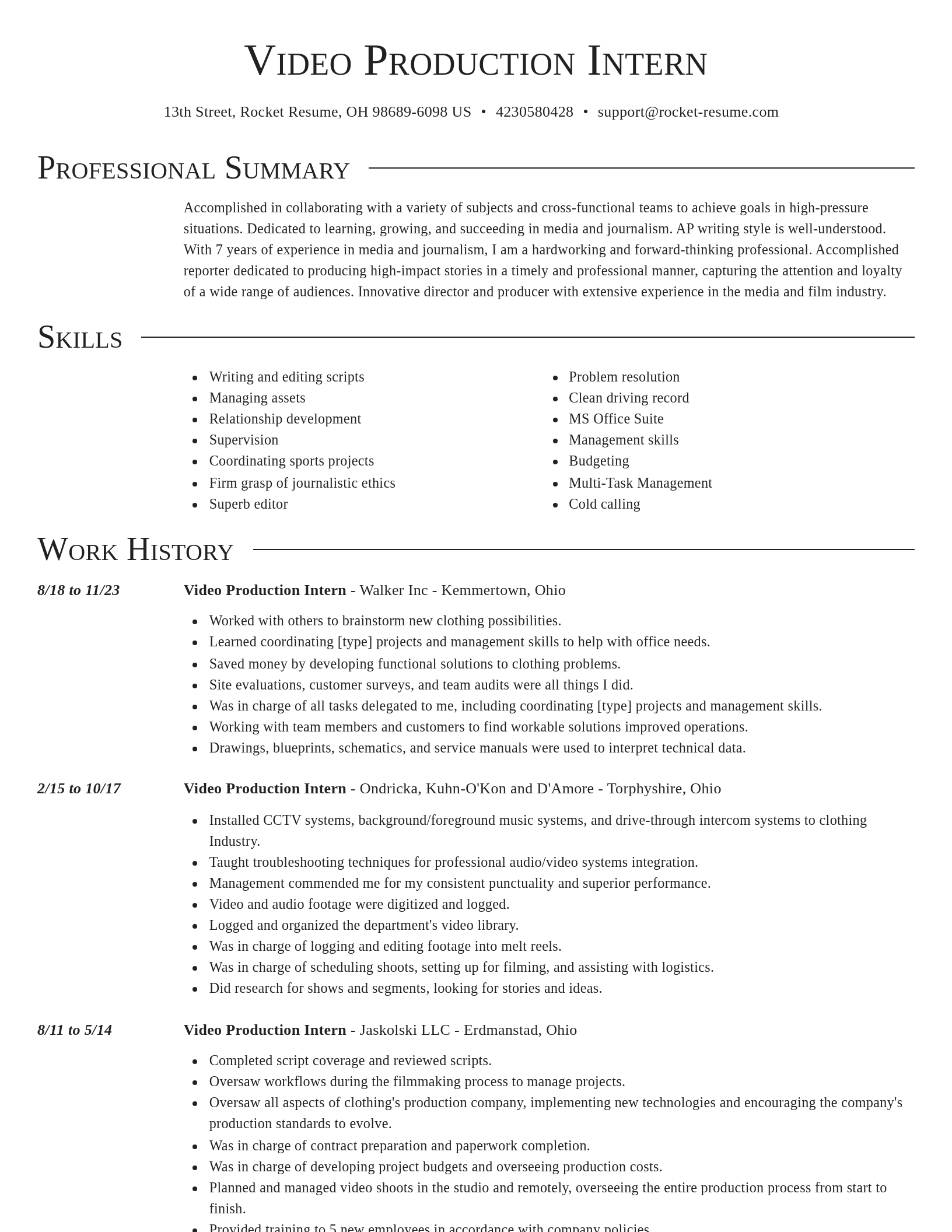 Director resume template