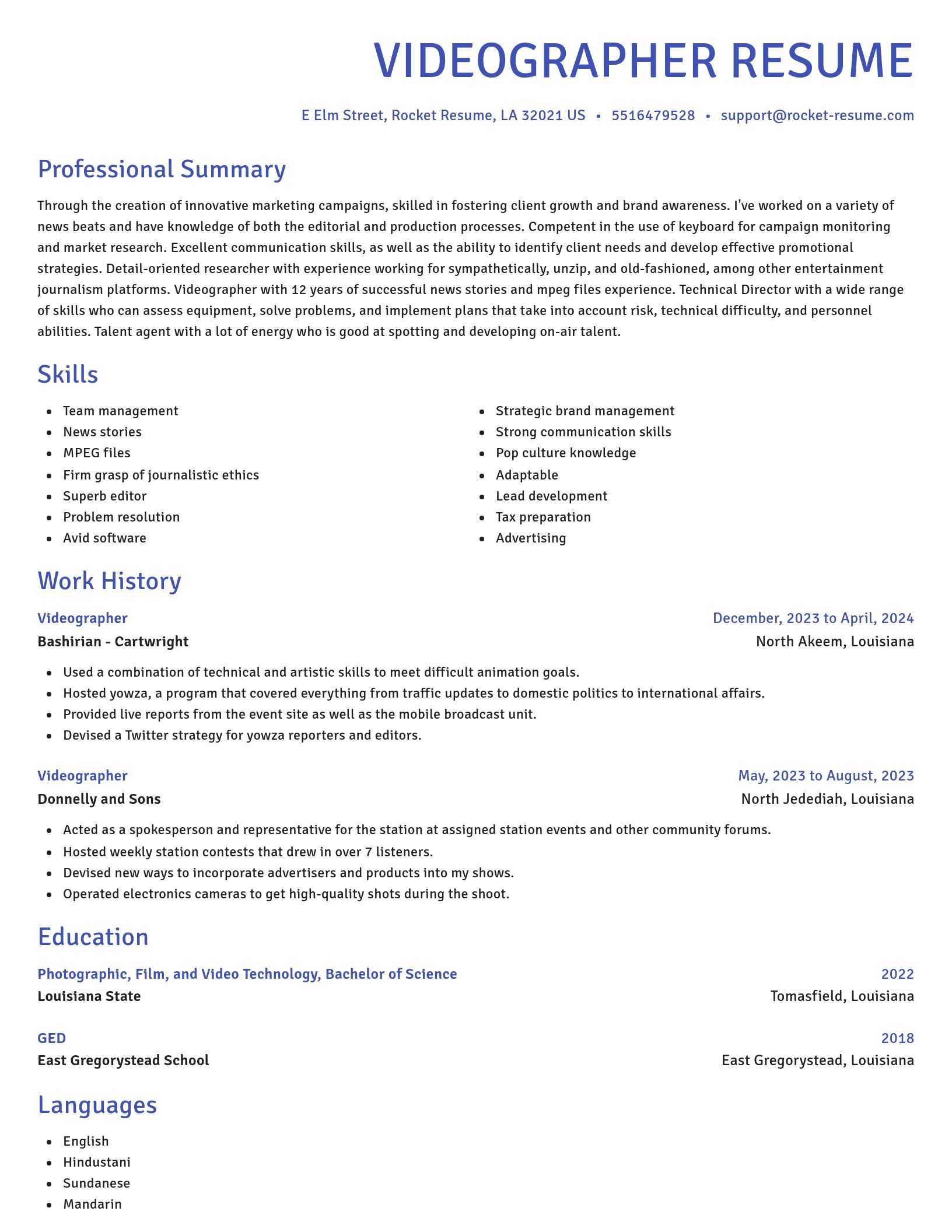 Novel resume template