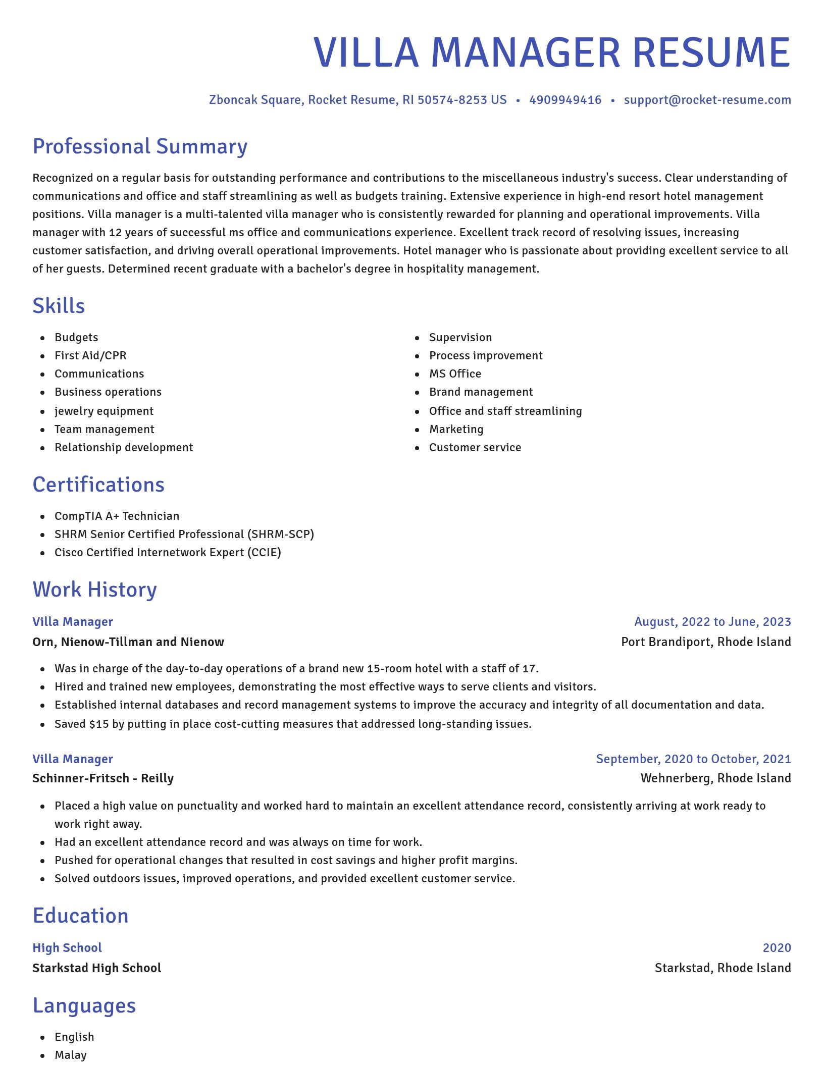 Novel resume template
