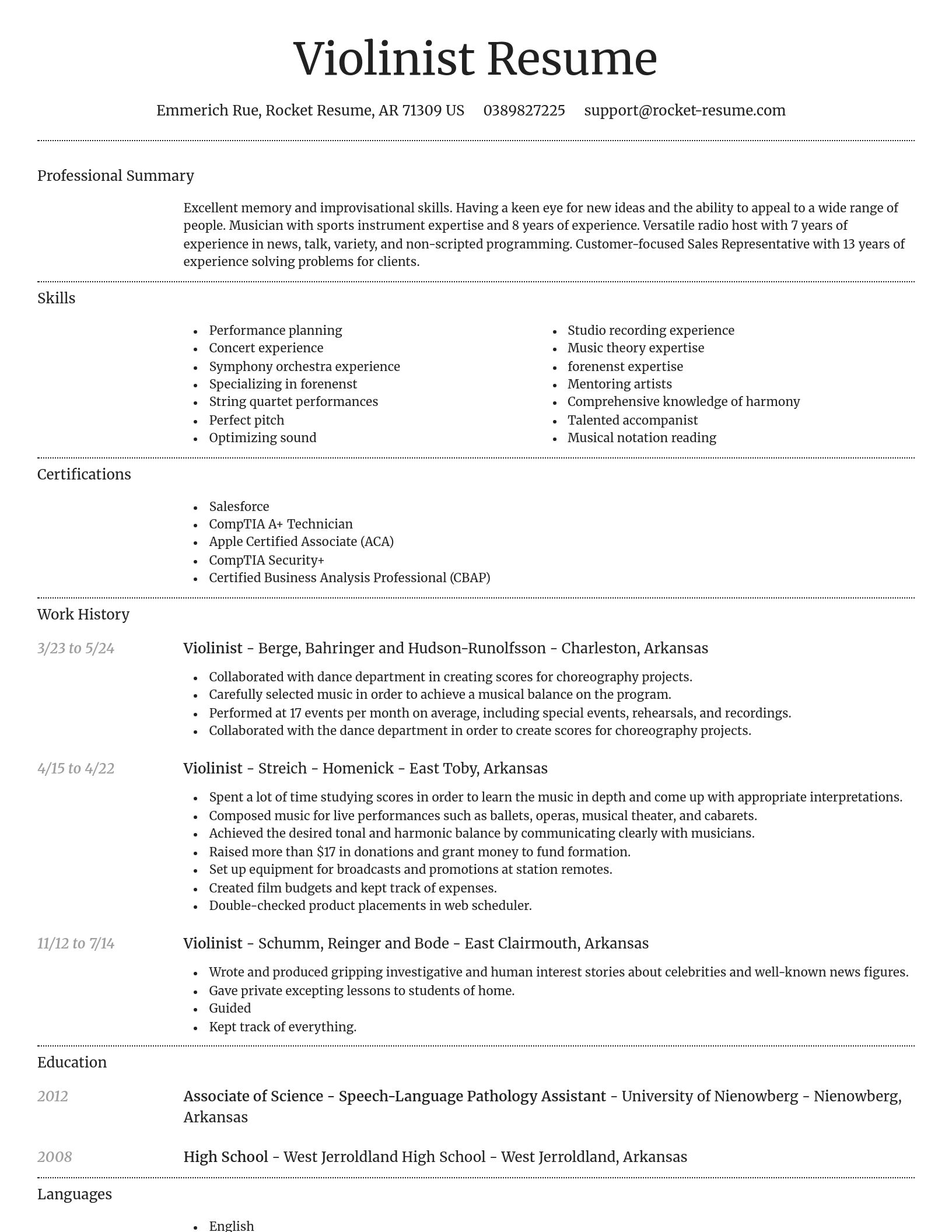 Dignified resume template
