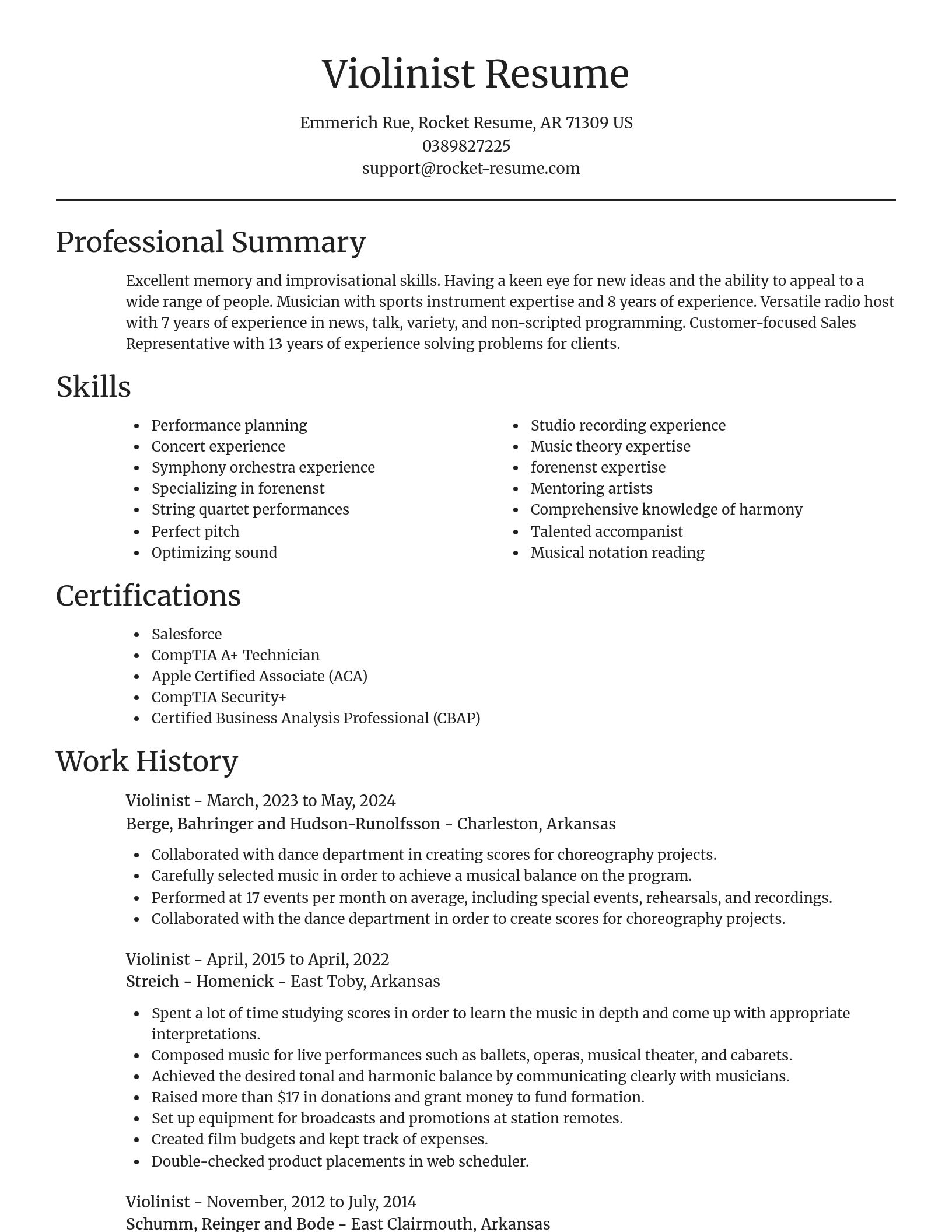 Focal Point resume template