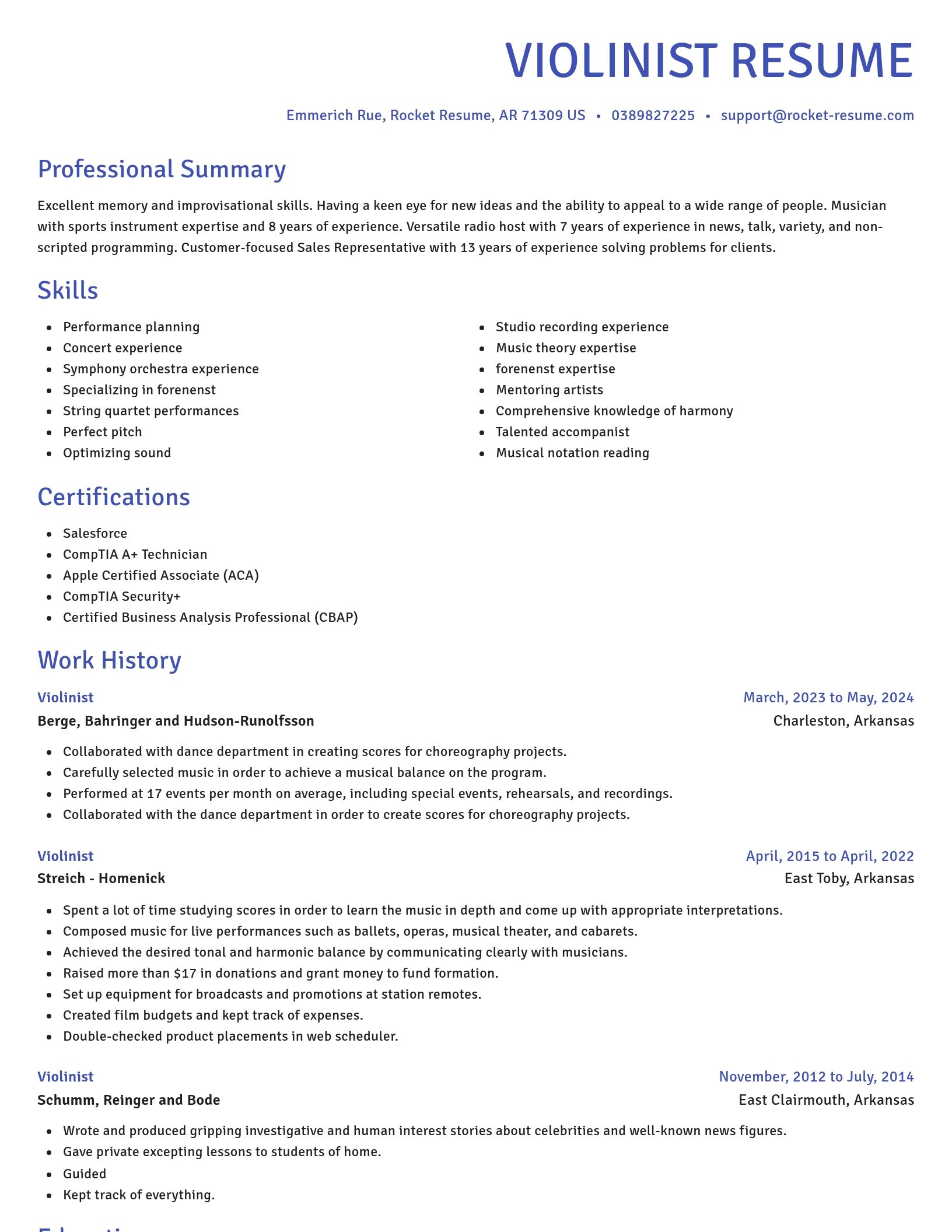 Novel resume template