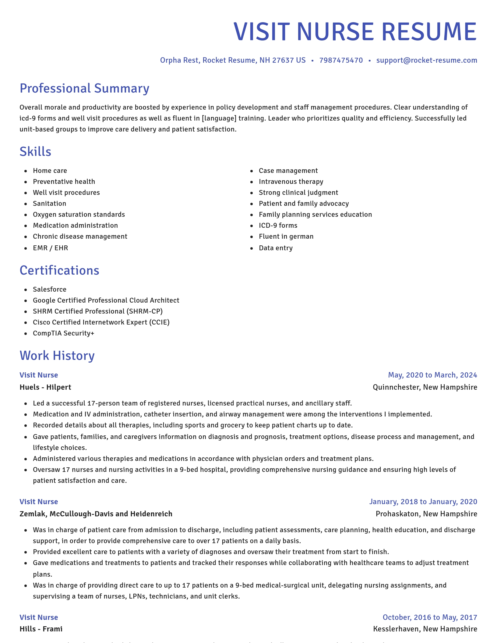 Novel resume template