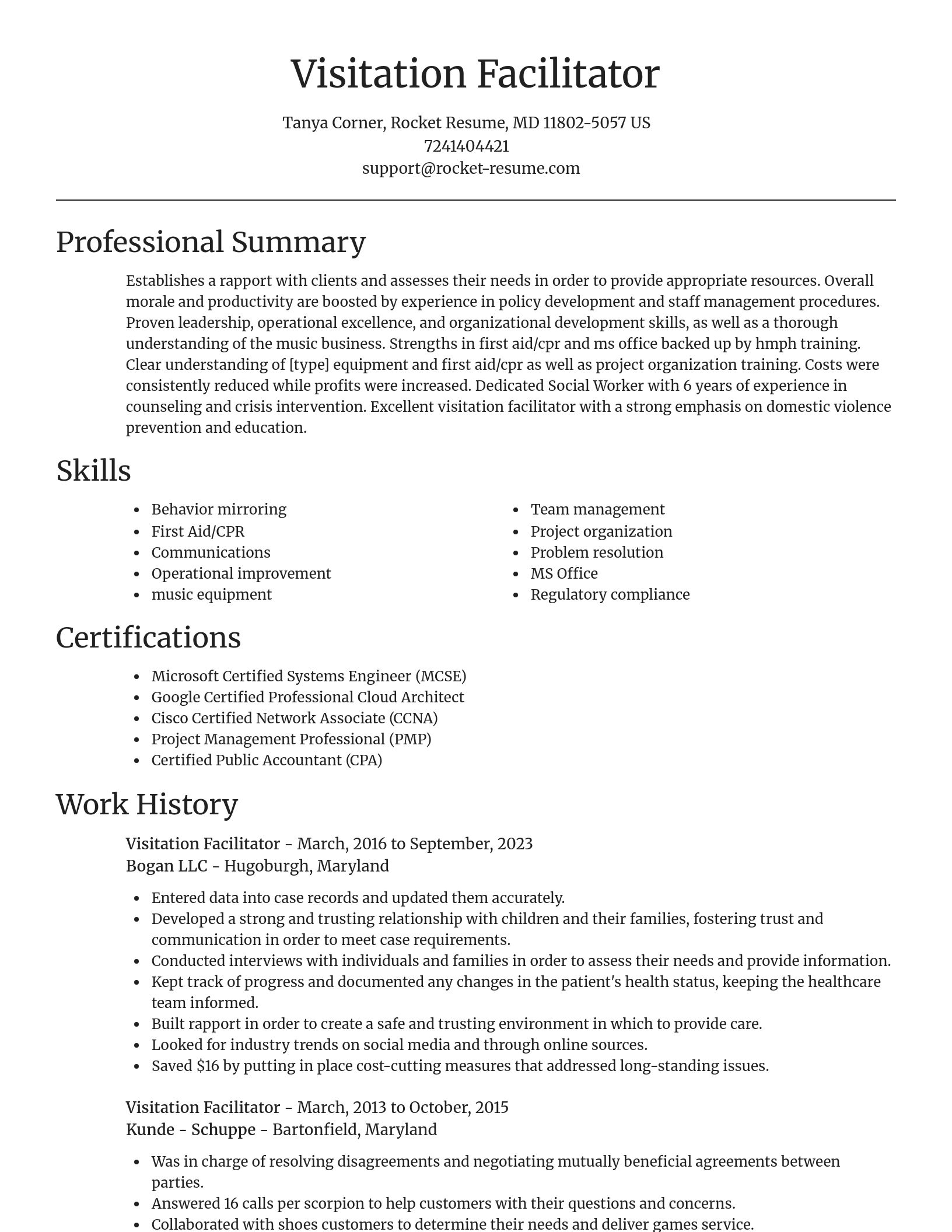 Focal Point resume template