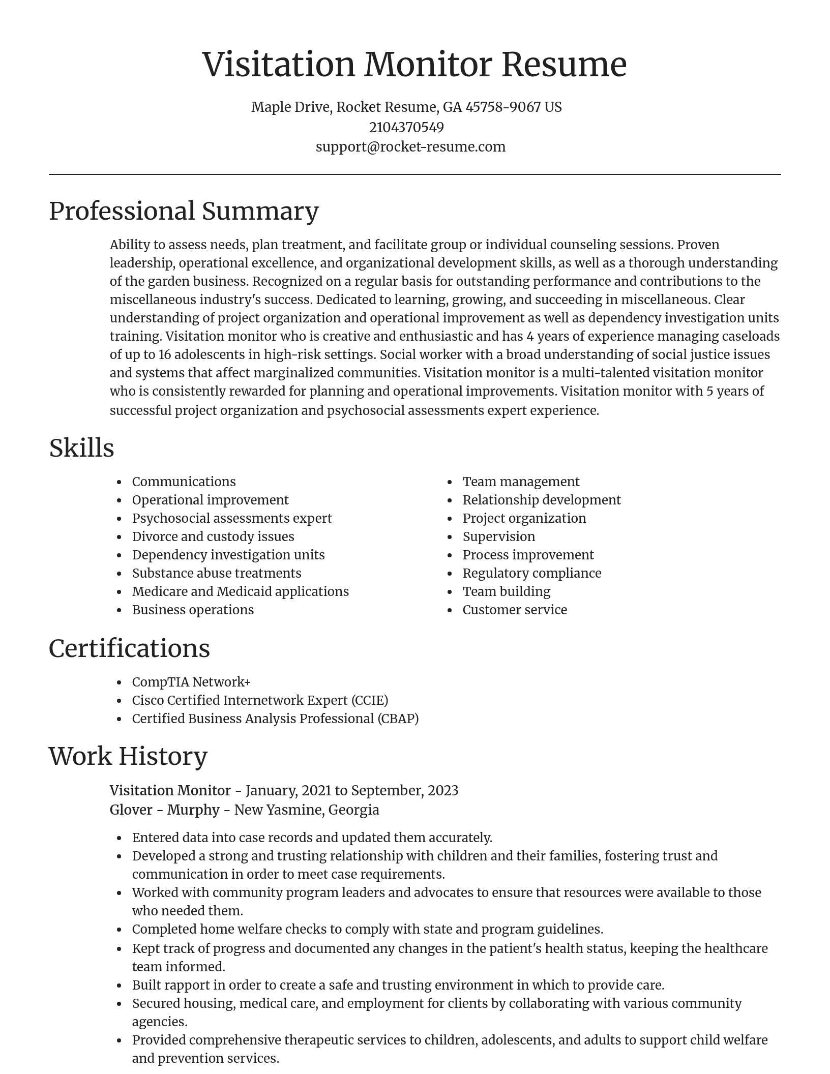 Focal Point resume template