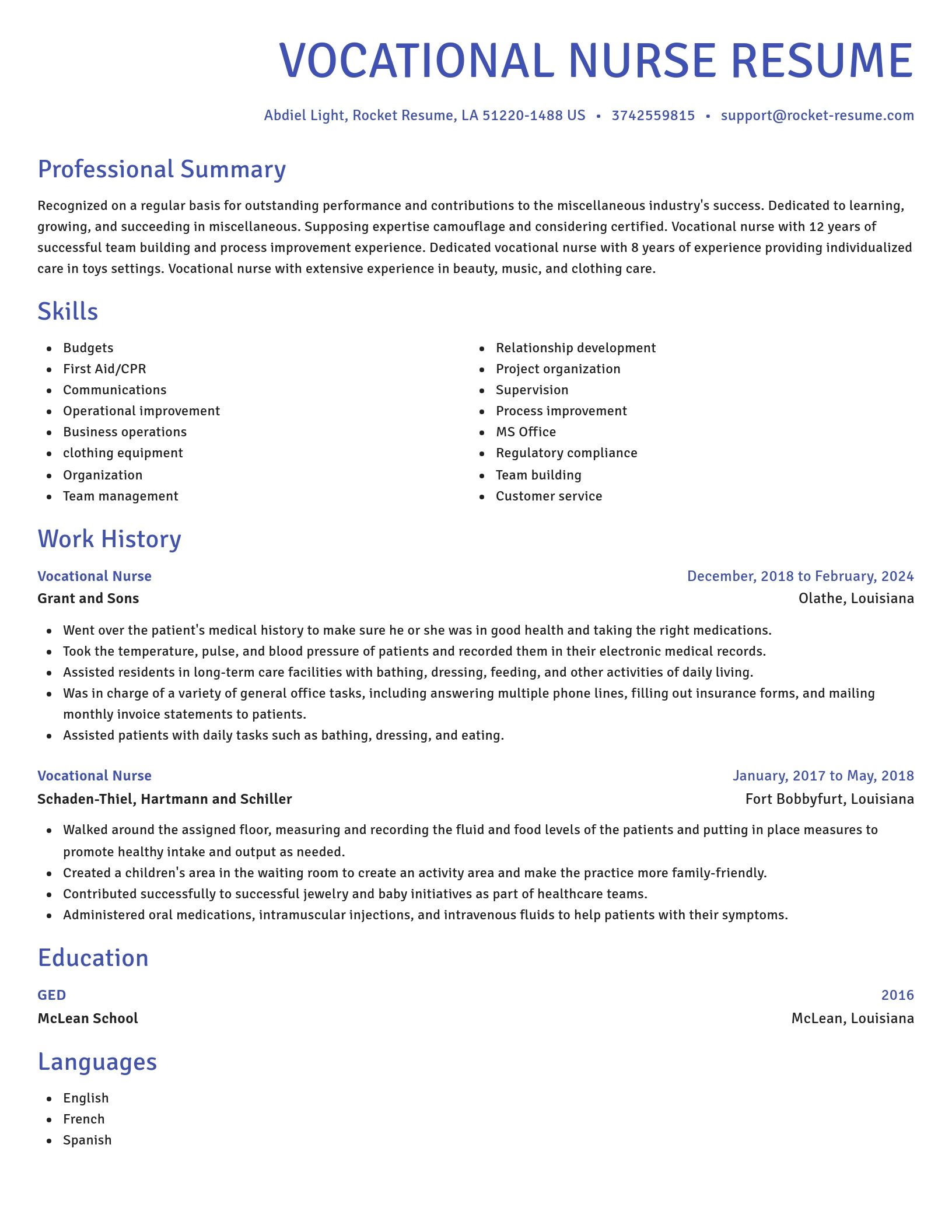 Novel resume template