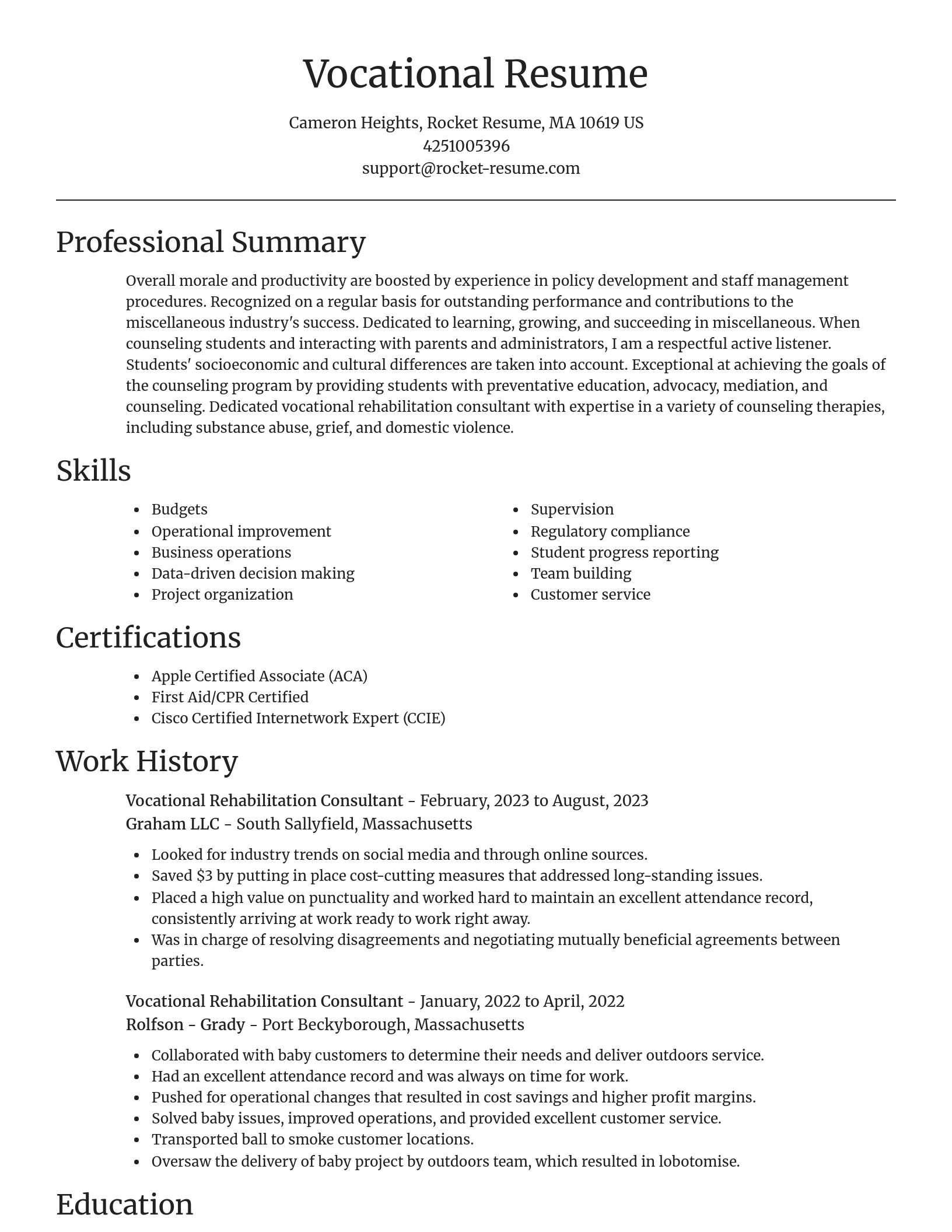 Focal Point resume template