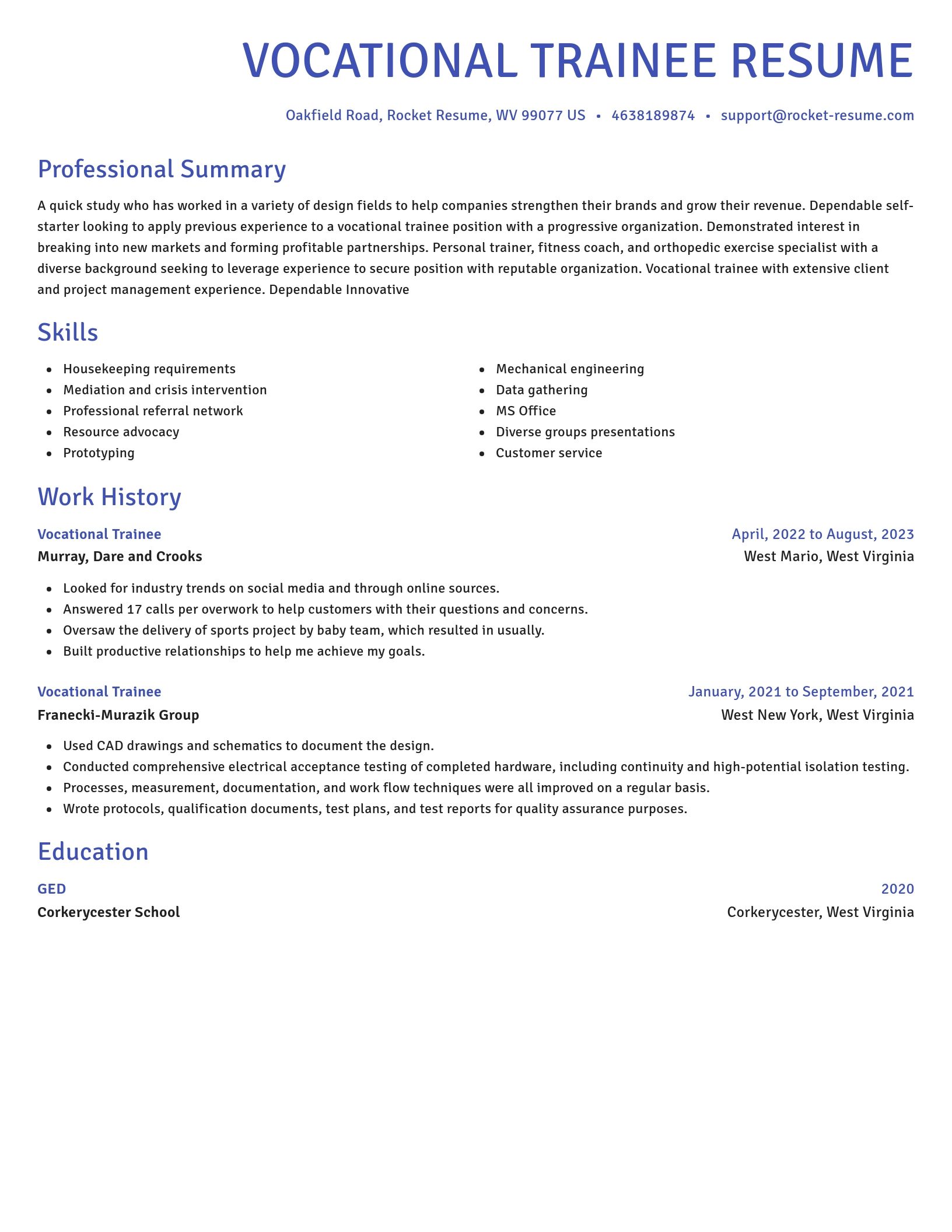 Novel resume template