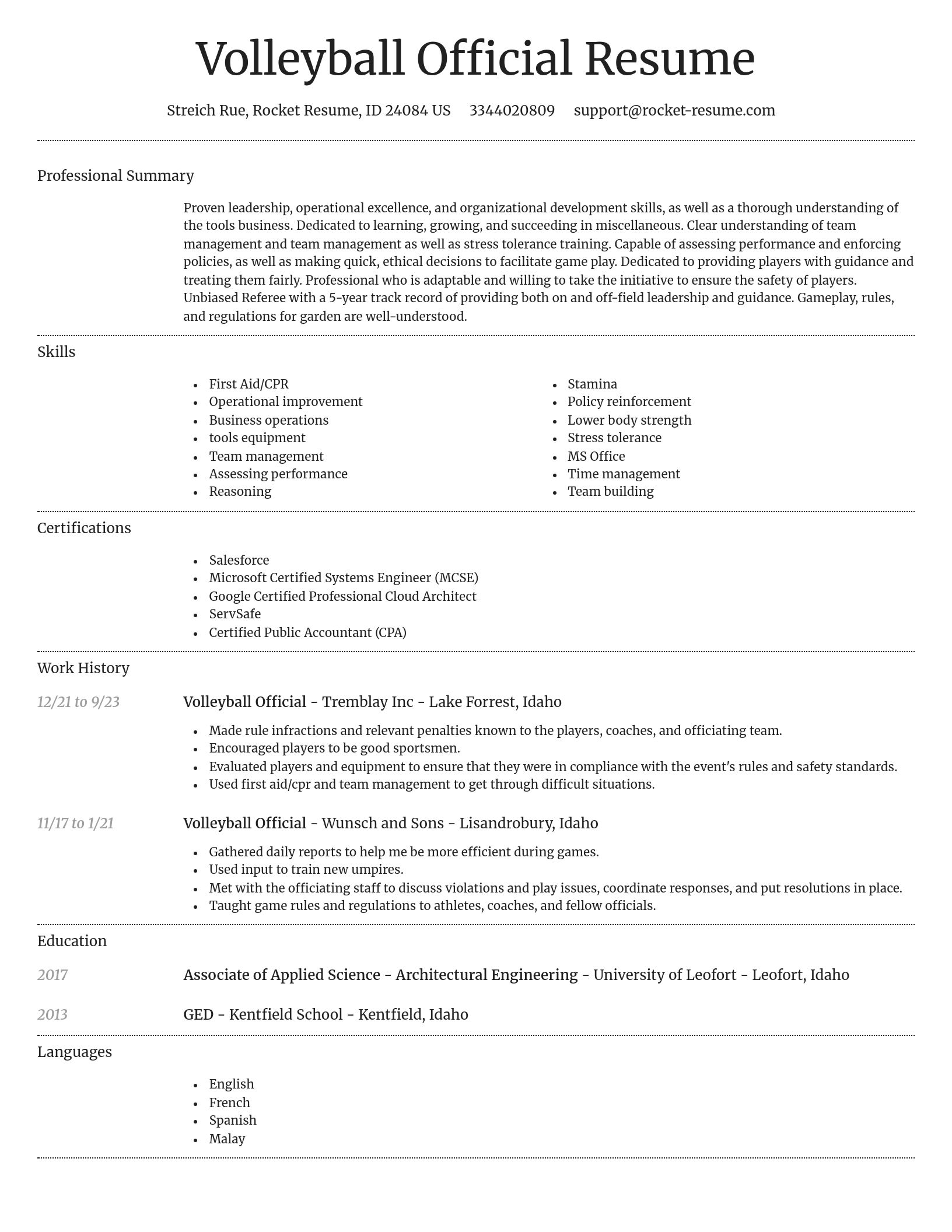 Dignified resume template